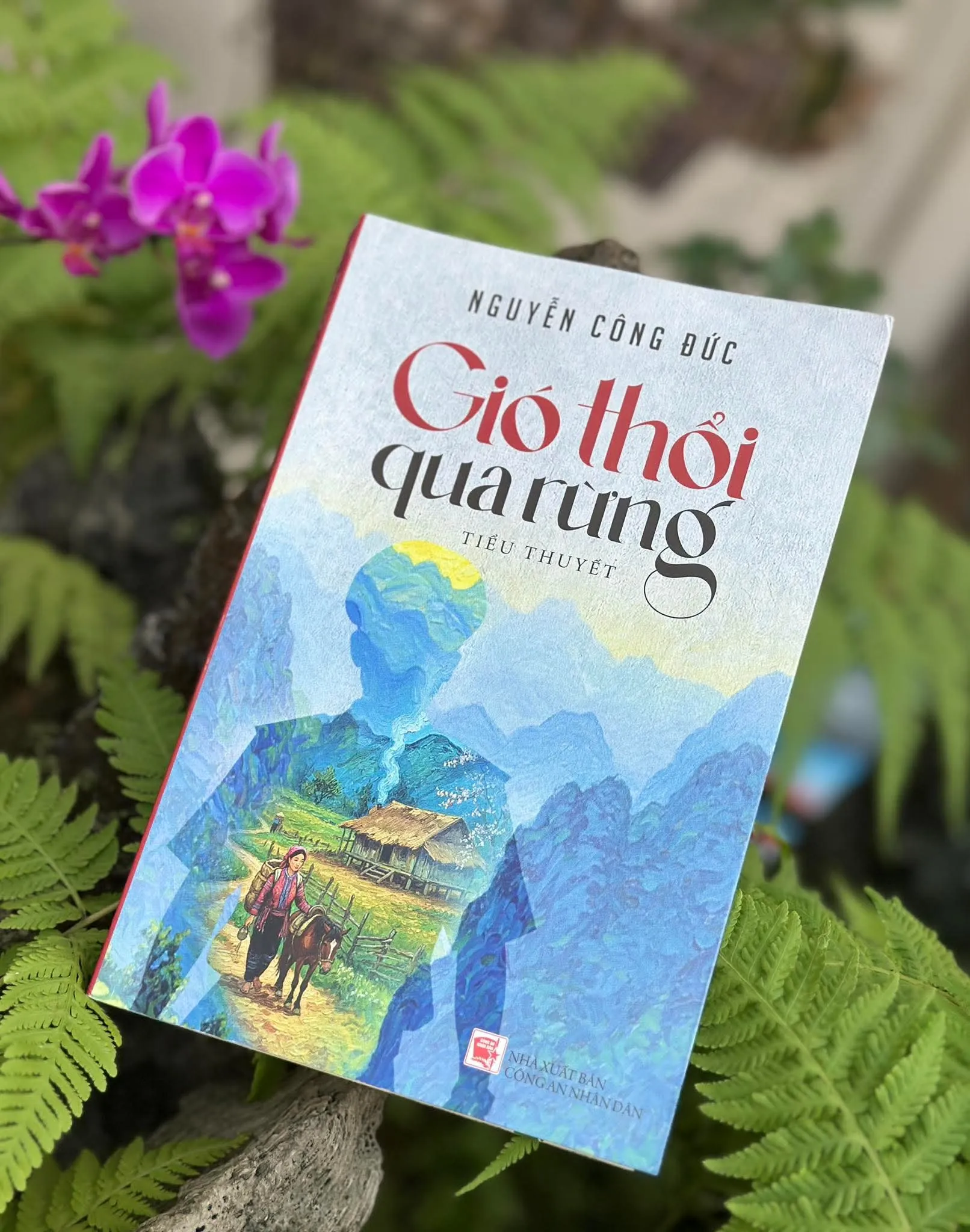 GIÓ THỔI QUA RỪNG
