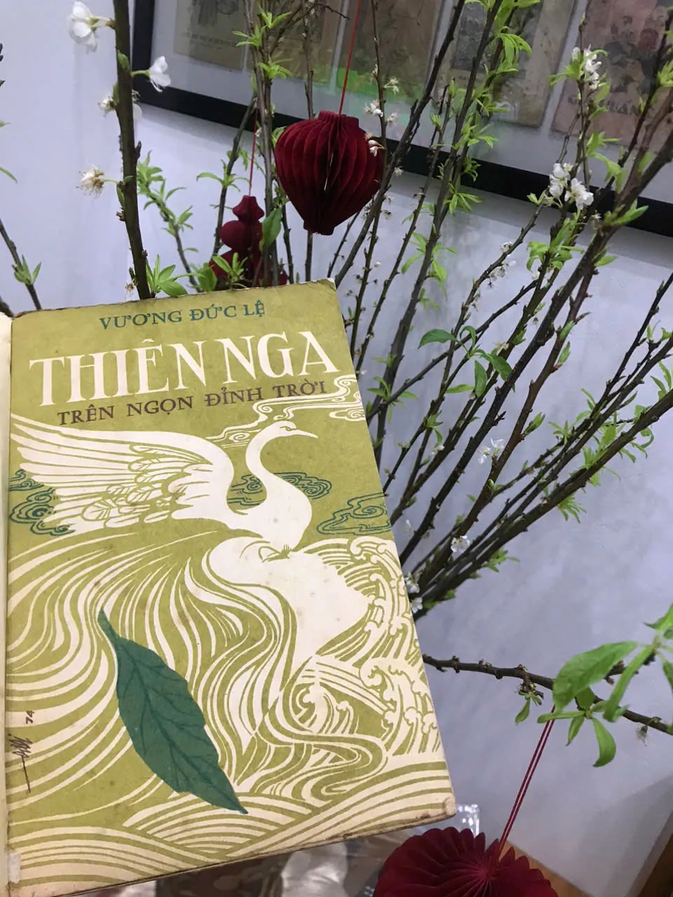 Thiên Nga Trên Ngọn Đỉnh Trời – Vương Đức Lệ - Có Chữ Ký Tác Giả