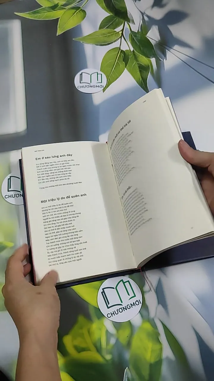 Giỏ Trái Cây - Liêu Hà Trinh 750811