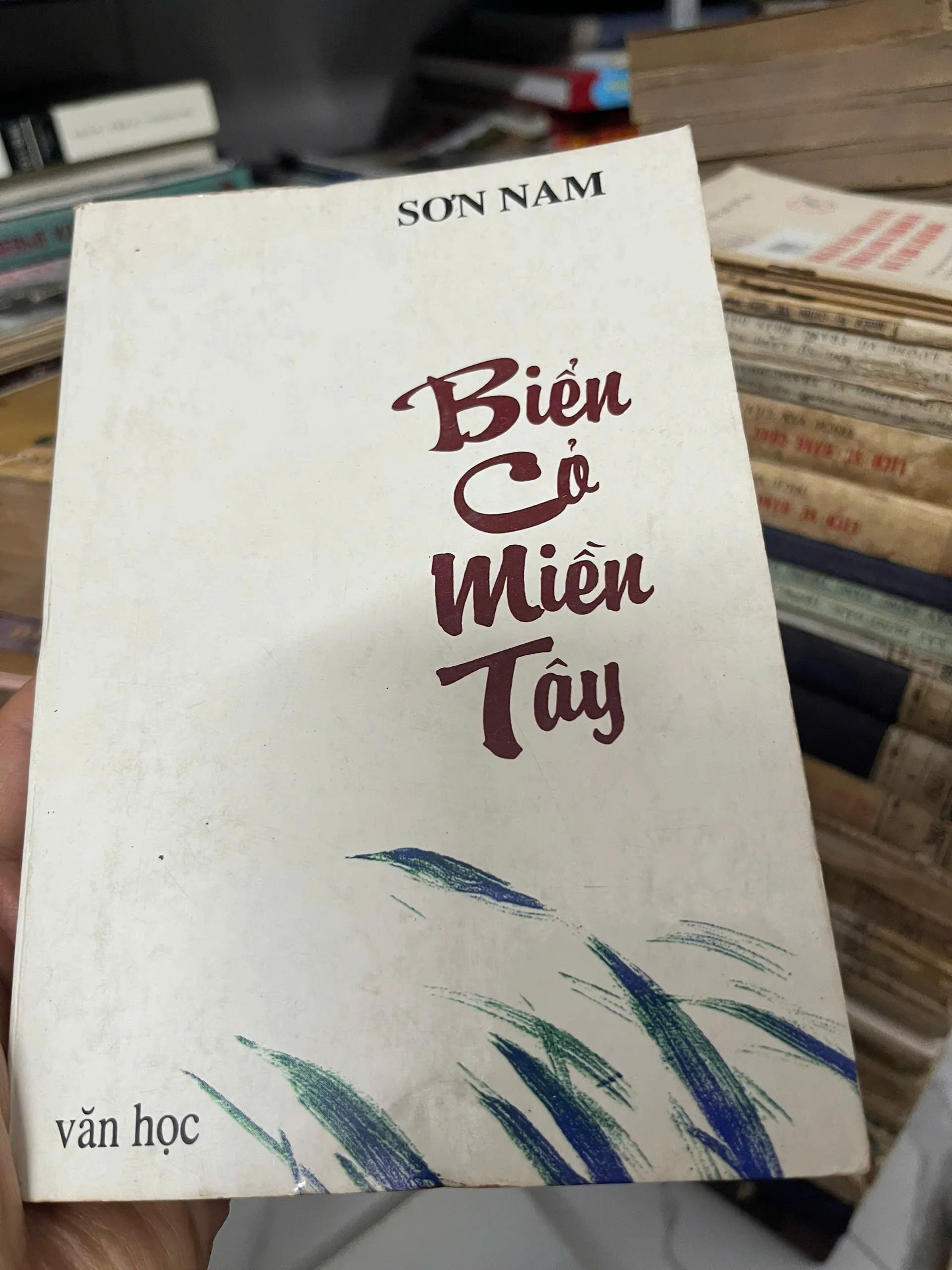 Biến Cỏ Miền Tây - Sơn Nam - Truyện dài/Văn học