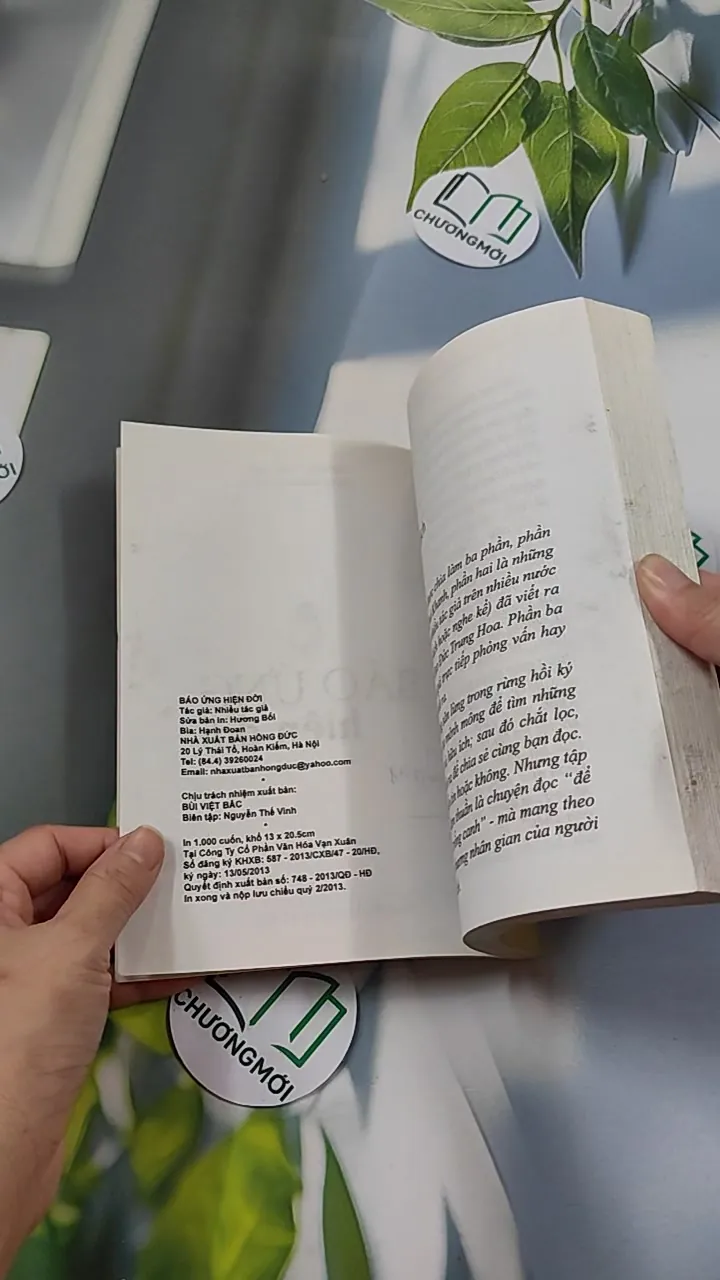 Báo Ứng Hiện Đời - Hạnh Đoan 776114