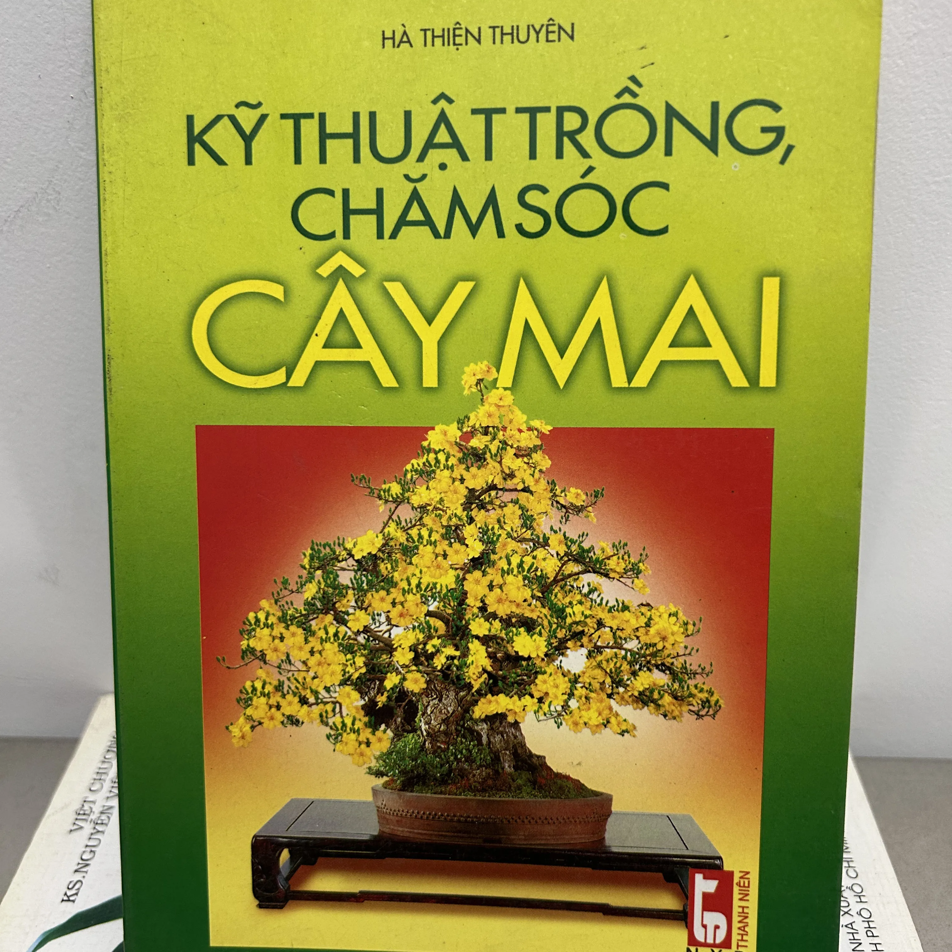 Kỹ thuật trồng, chăm sóc cây mai