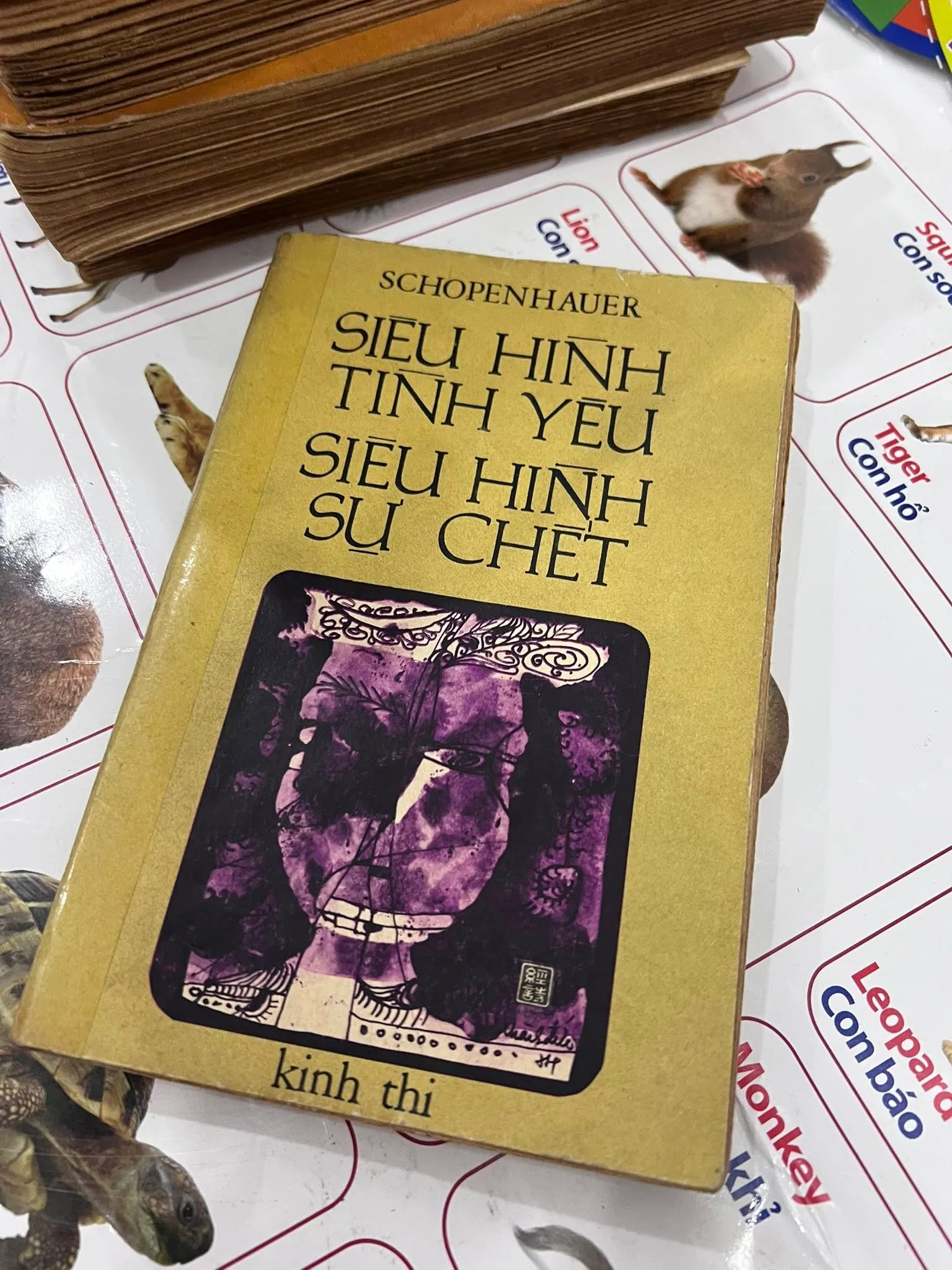 SIÊU HÌNH TÌNH YÊU SIÊU HÌNH SỰ CHẾT - SCHOPENHAUR (HOÀNG THIÊN NGUYỄN)