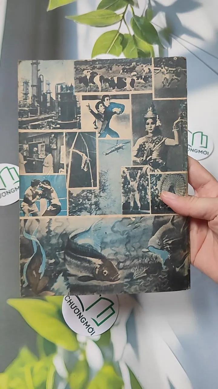 [XƯA] Khoa Học Đời Sống: Vị Ngọt Quê Hương  (1984) 776002