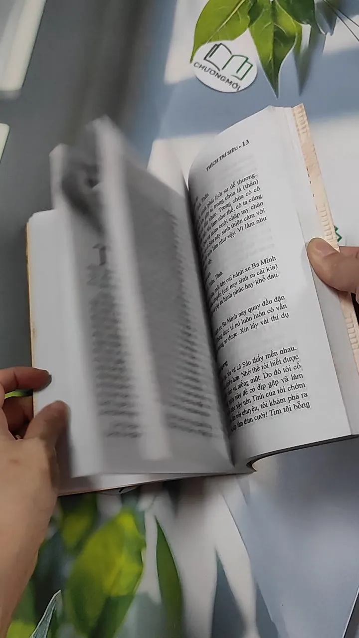 Ý Tình Thân - Thích Trí Siêu 776124