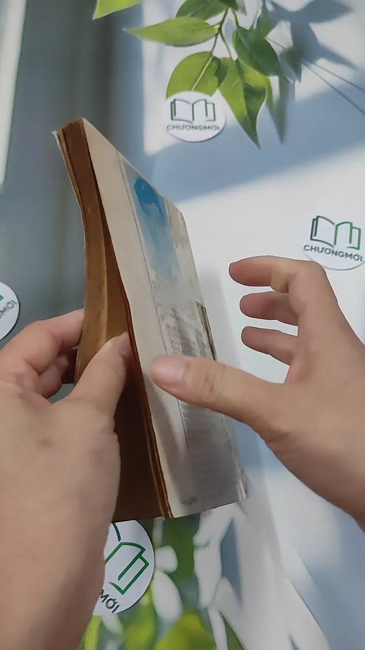 [MIỄN PHÍ BỌC SÁCH] [XƯA] Tìm Về Dân Tộc (1990) - Lý Chánh Trung 776027