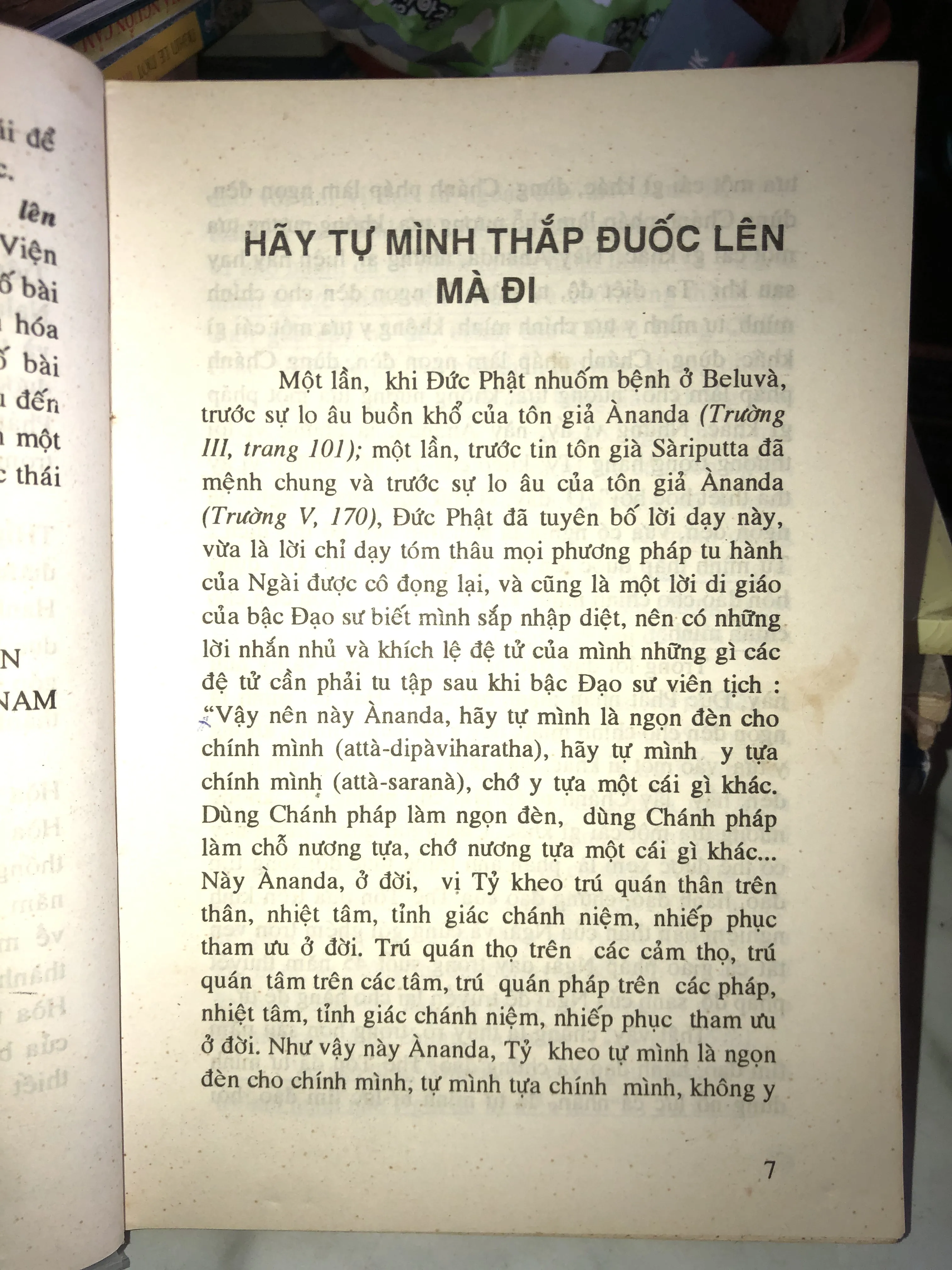 Hãy tự mình thắp đuốc lên - Thích Minh Châu 1001189