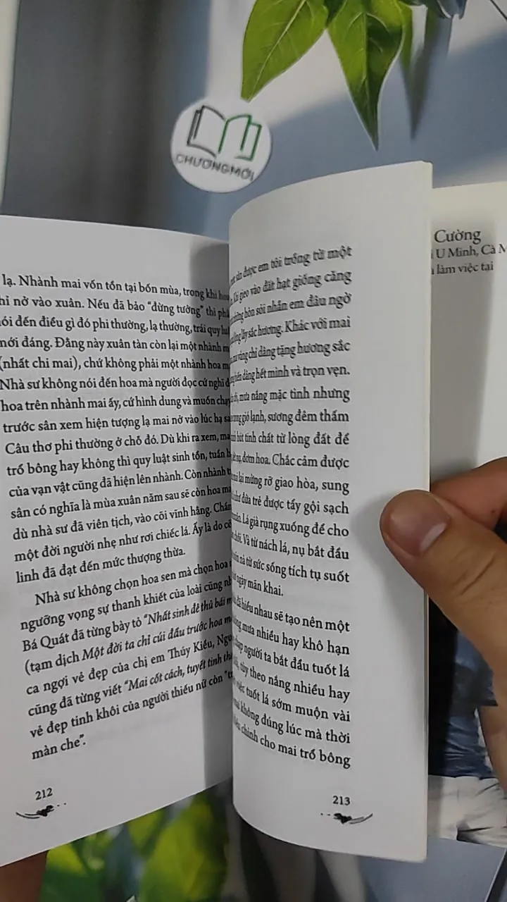 Xao Xuyến Đường Hoa - Lê Phúc Cường 798492