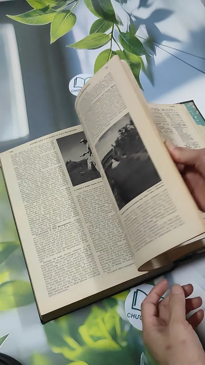 [MIỄN PHÍ BỌC SÁCH] Encyclopedia Americana 30 - Scholastic 750842