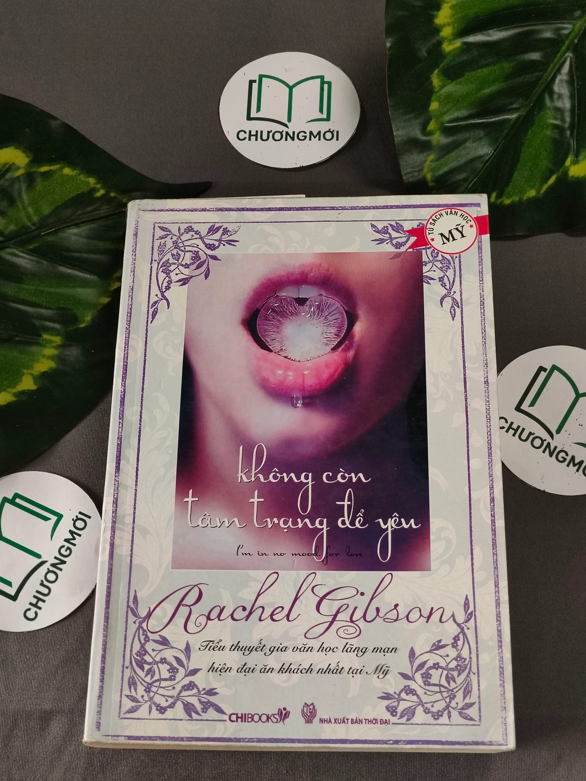 Không Còn Tâm Trạng Để Yêu - Rachel Gibson