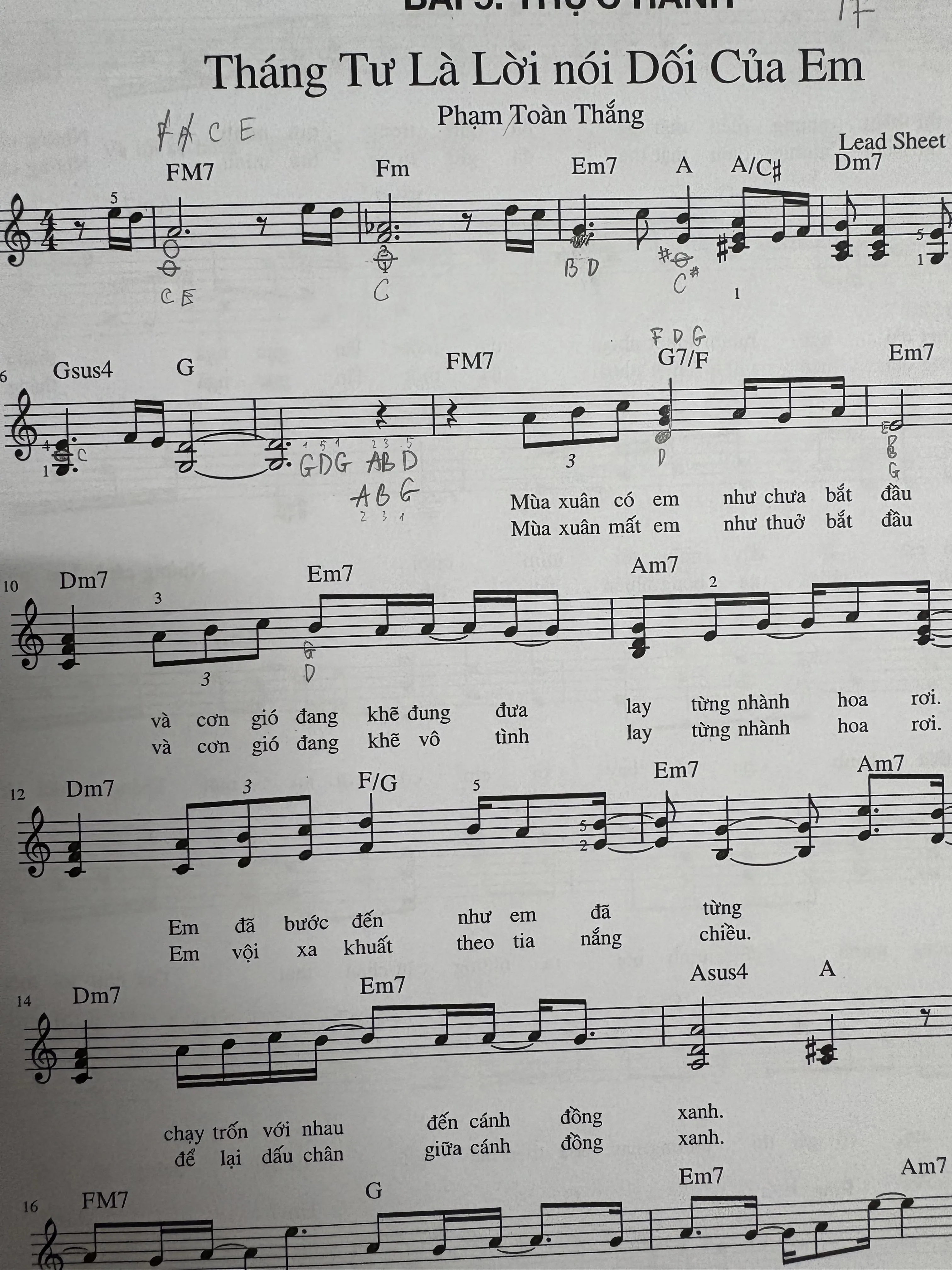 Combo sách nhạc từ vỡ lòng đến nâng cao 754591