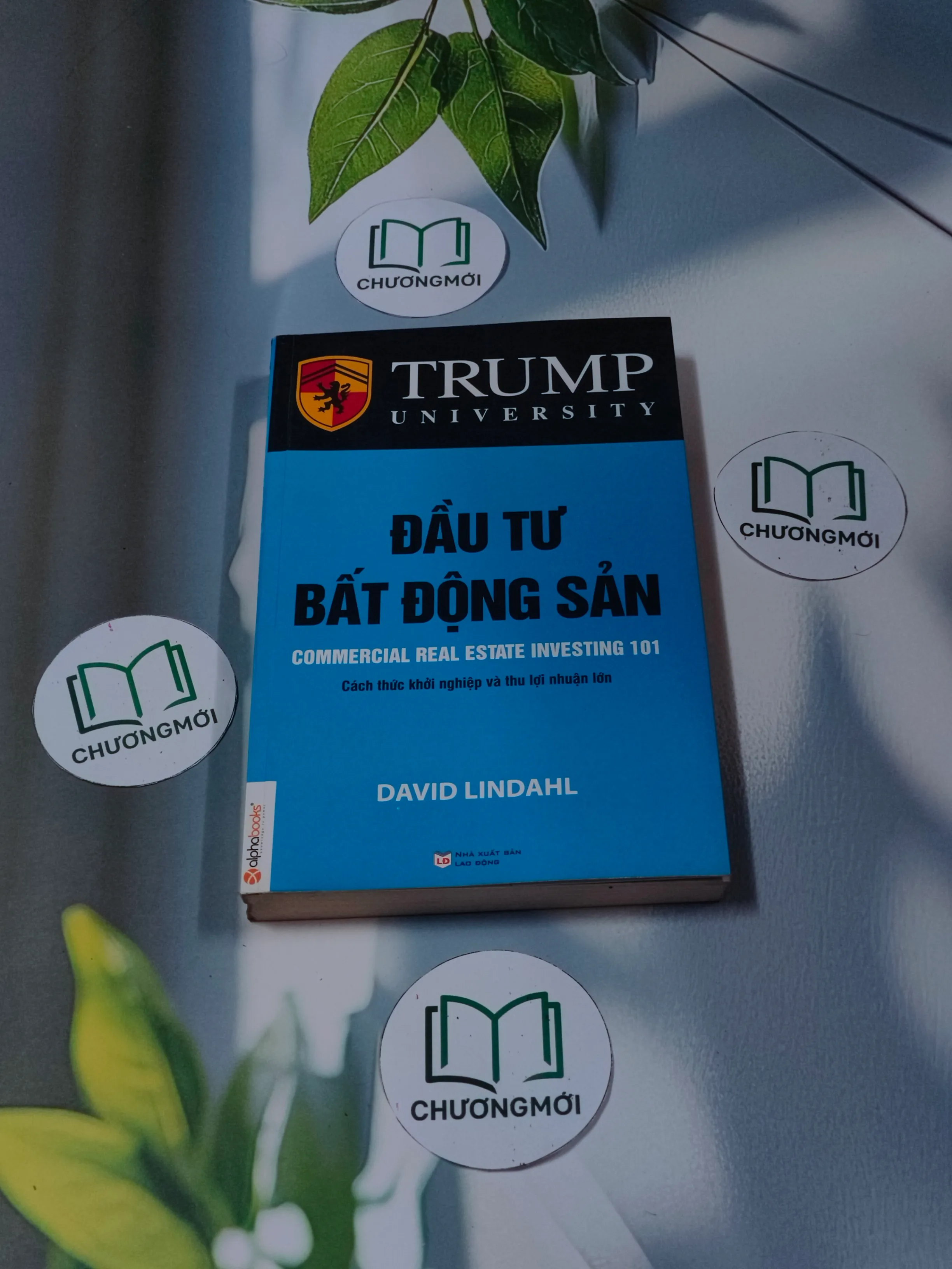 Đầu tư bất động sản - David Lindahl