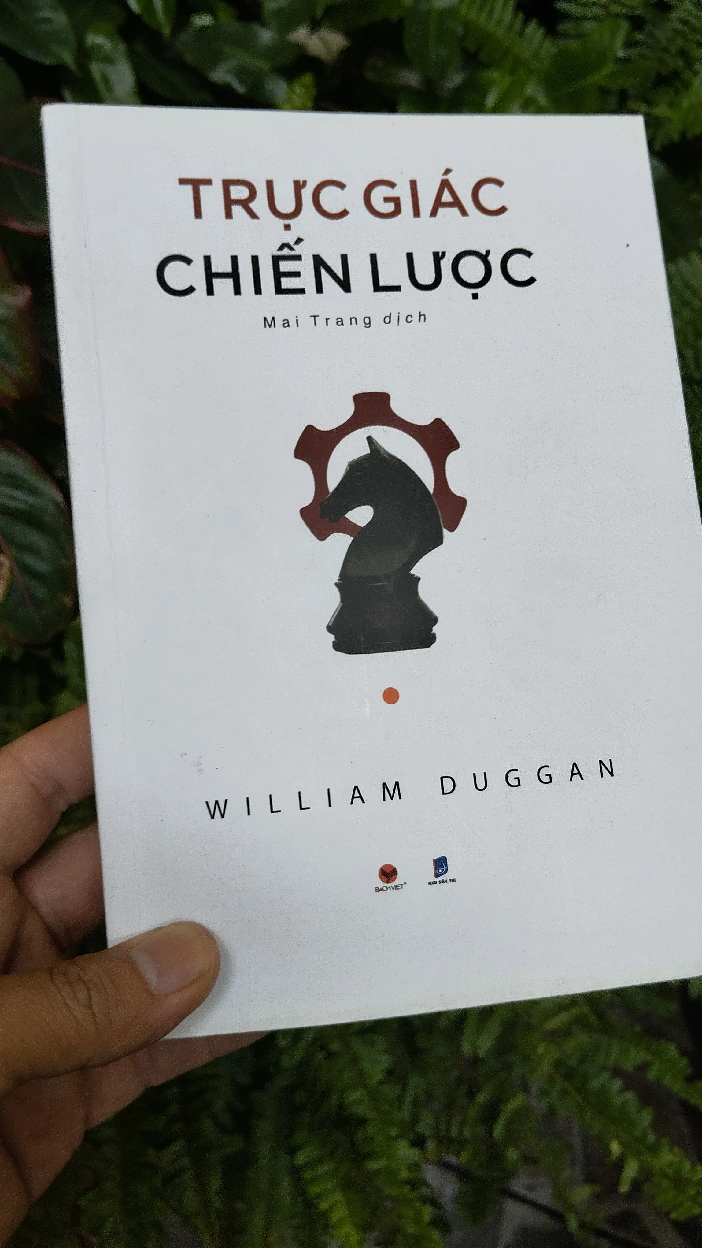 Trực giác chiến lược 