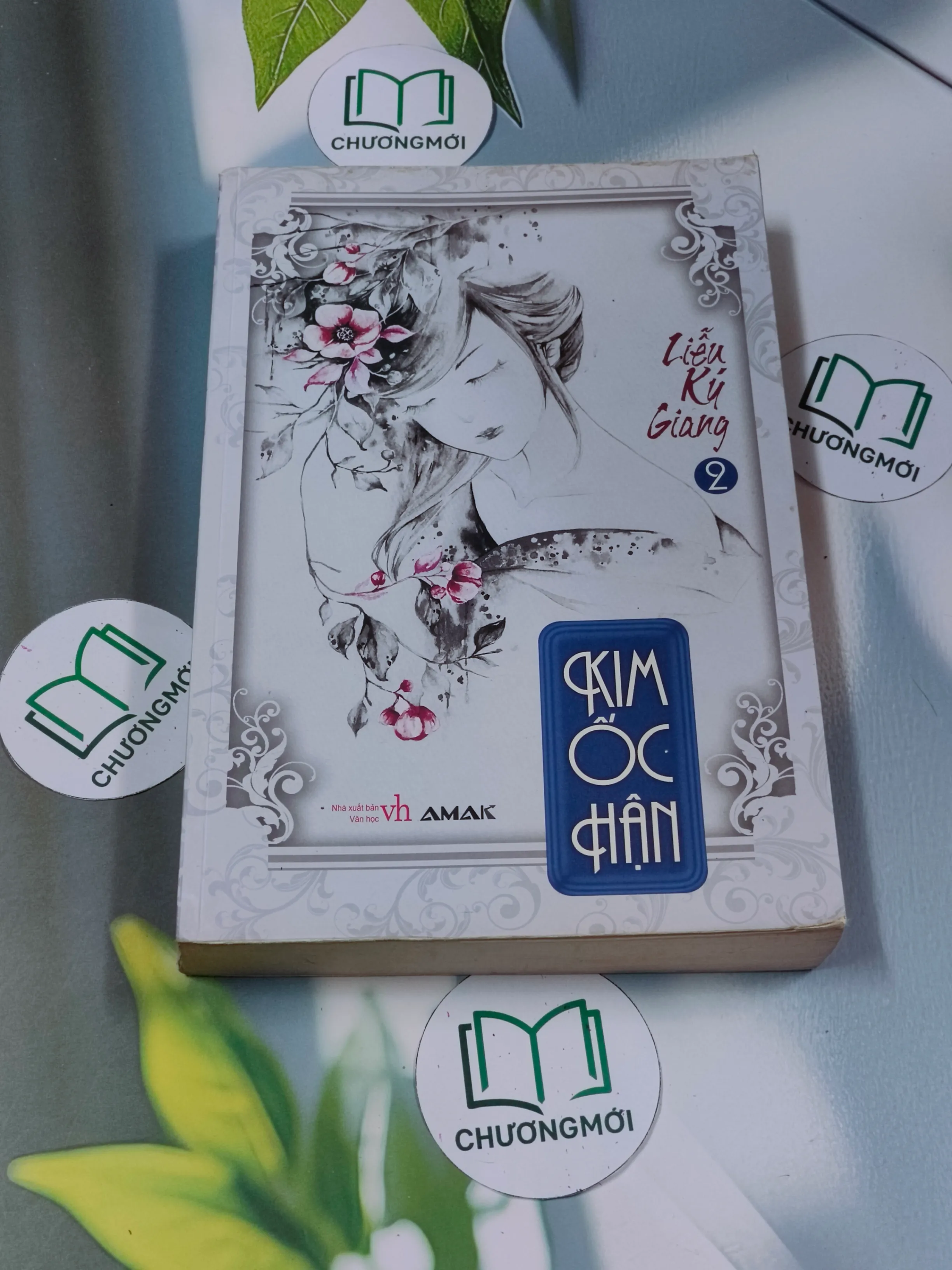 Kim Ốc Hận 2 - Liễu Ký Giang