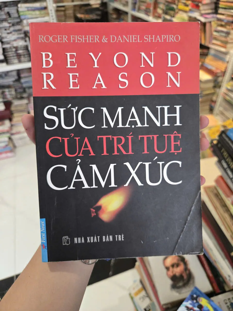SỨC MẠNH CỦA TRÍ TUỆ CẢM XÚC