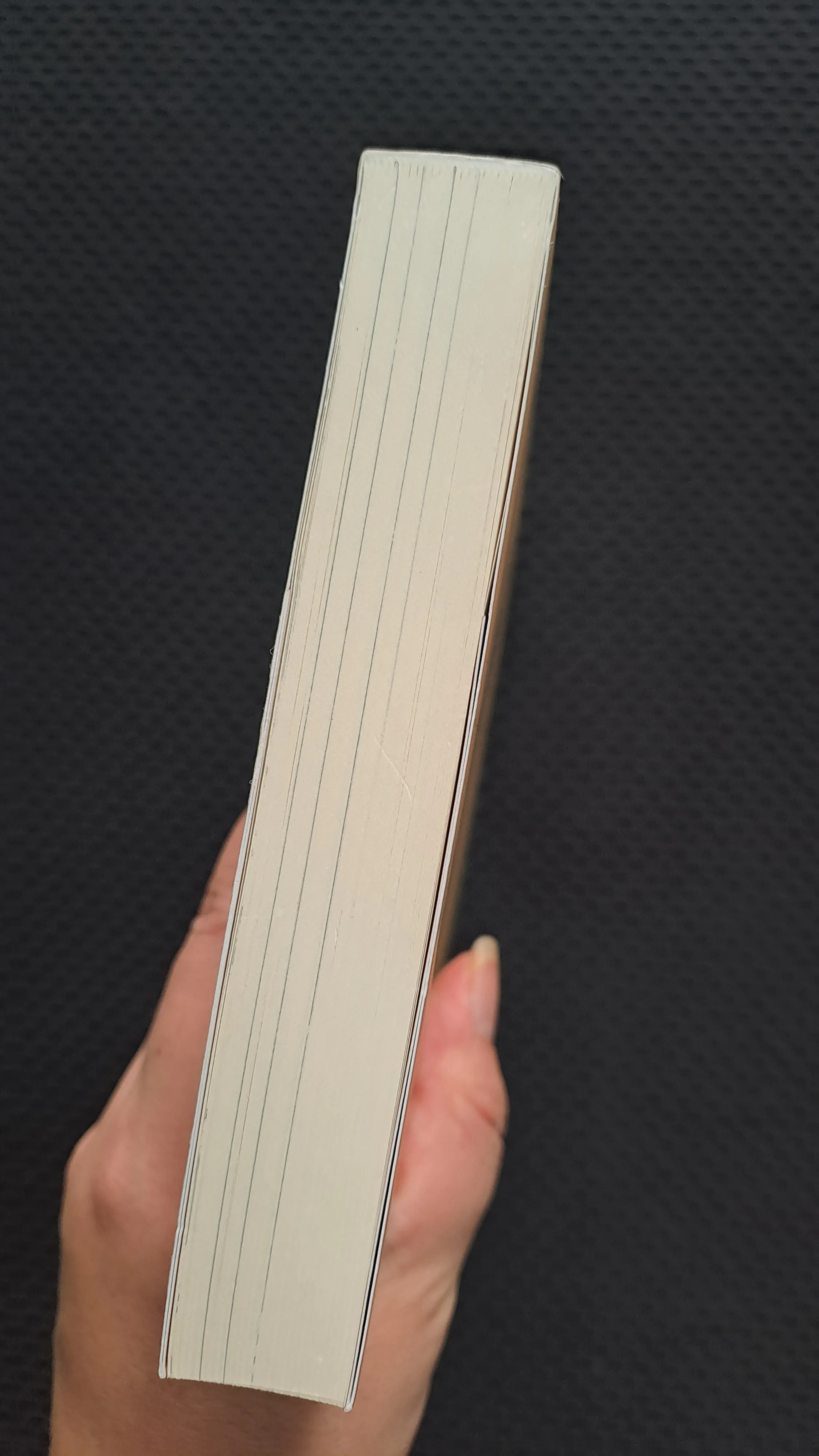 Đèn nhỏ và những đứa con của biển - Annet Schaap 998552