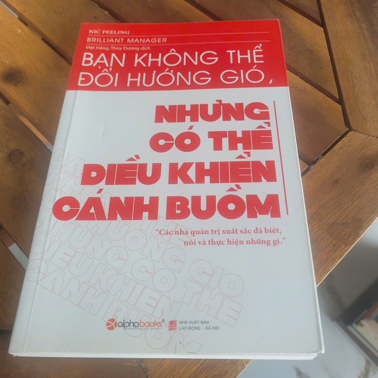 Bạn không thể đổi hướng gió, nhưng có thể điều khiển cánh buồm	Nic Peeling