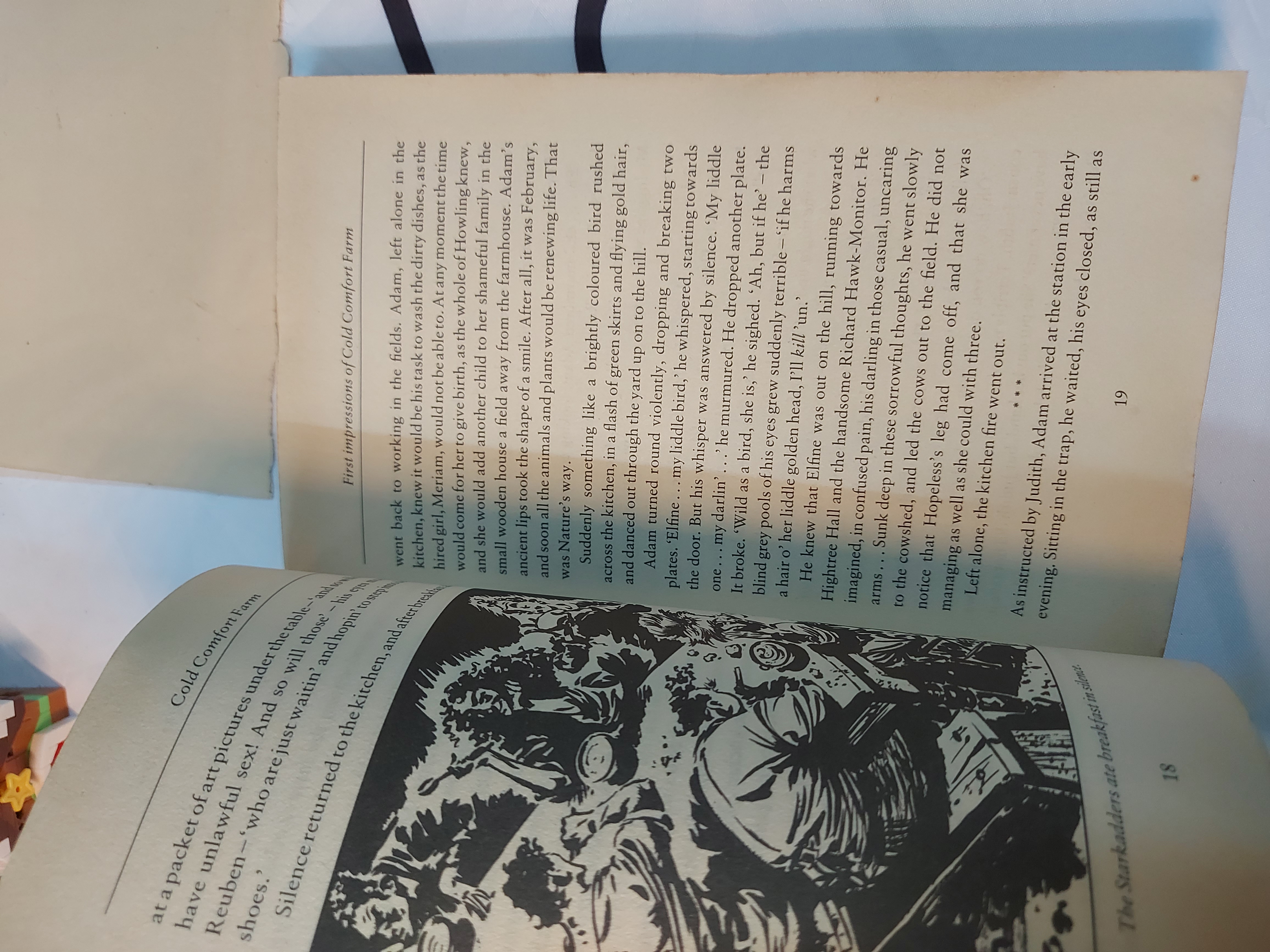 [Ngoại văn] - COLD COMFORT FARM 478616