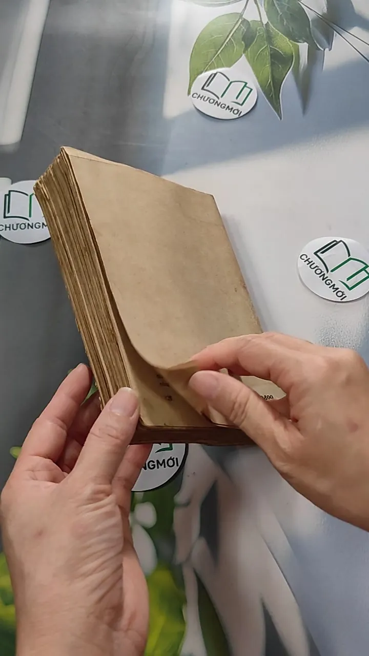 [XƯA] Tình Biển (1987) - Nguyễn Nguyên Bảy 776055