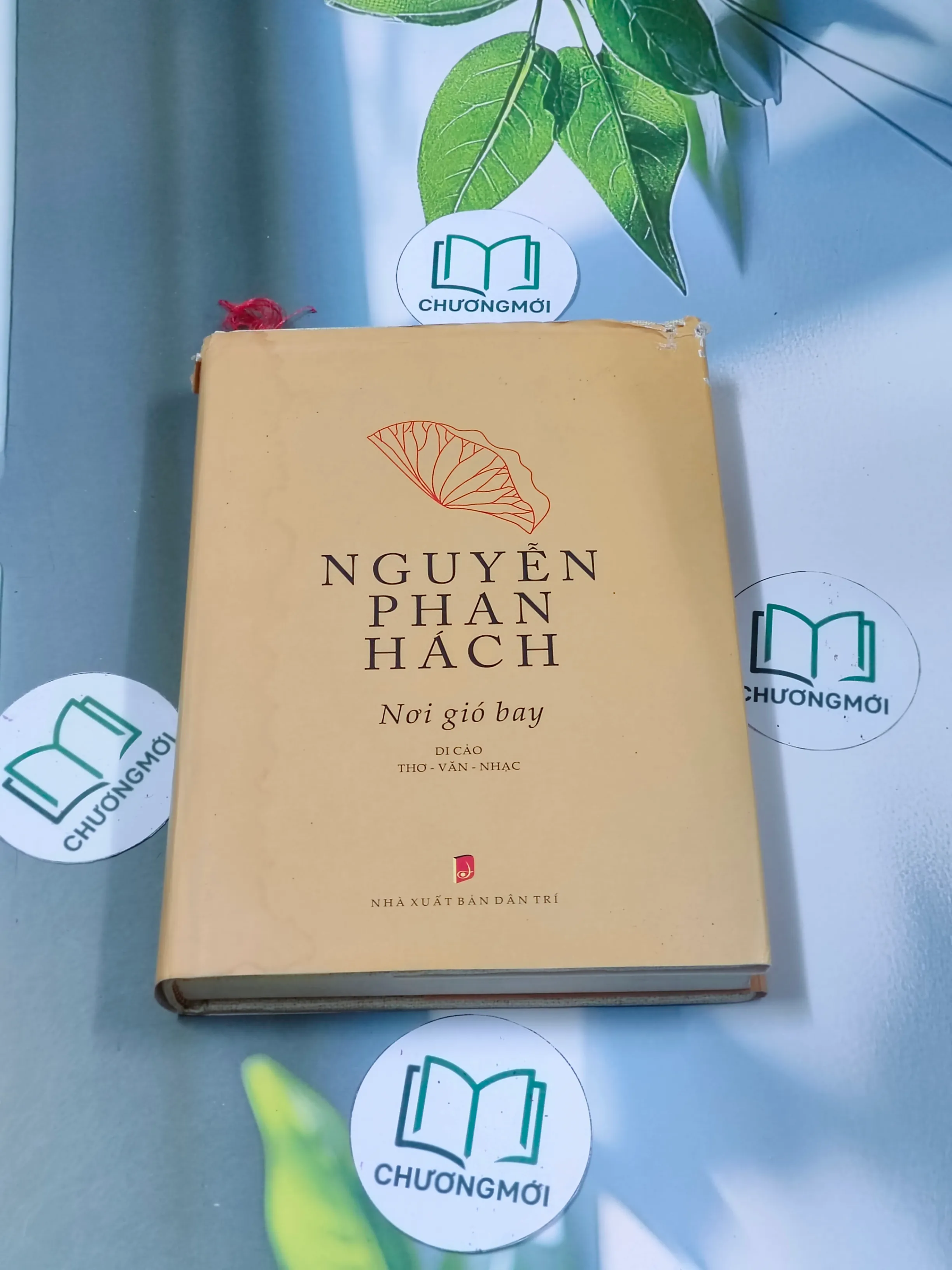 [MIỄN PHÍ BỌC SÁCH] Nơi gió bay - Nguyễn Phan Hách