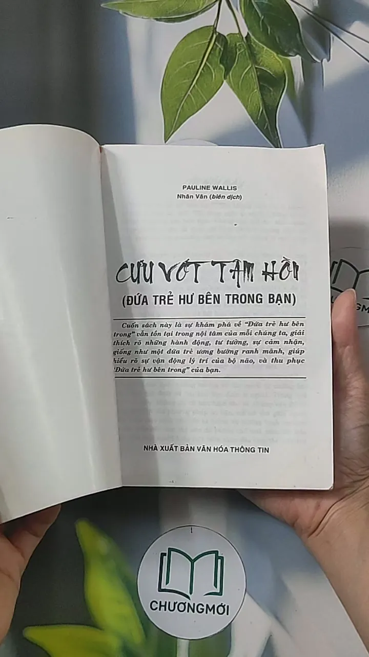 Cứu vớt tâm hồn (đứa trẻ hư bên trong bạn) - Trần Minh Nhật 688513