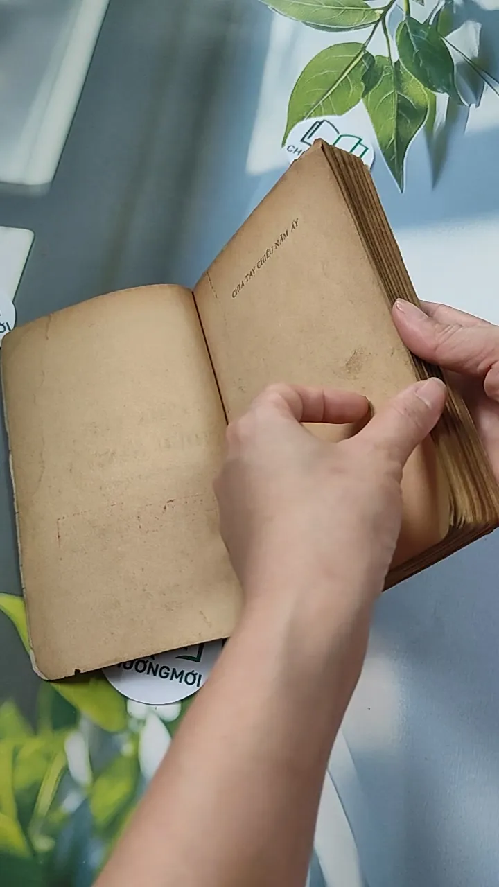 [XƯA] Chia Tay Chiều Năm Ấy (1991) - Đỗ Thị Thanh Hương 776084