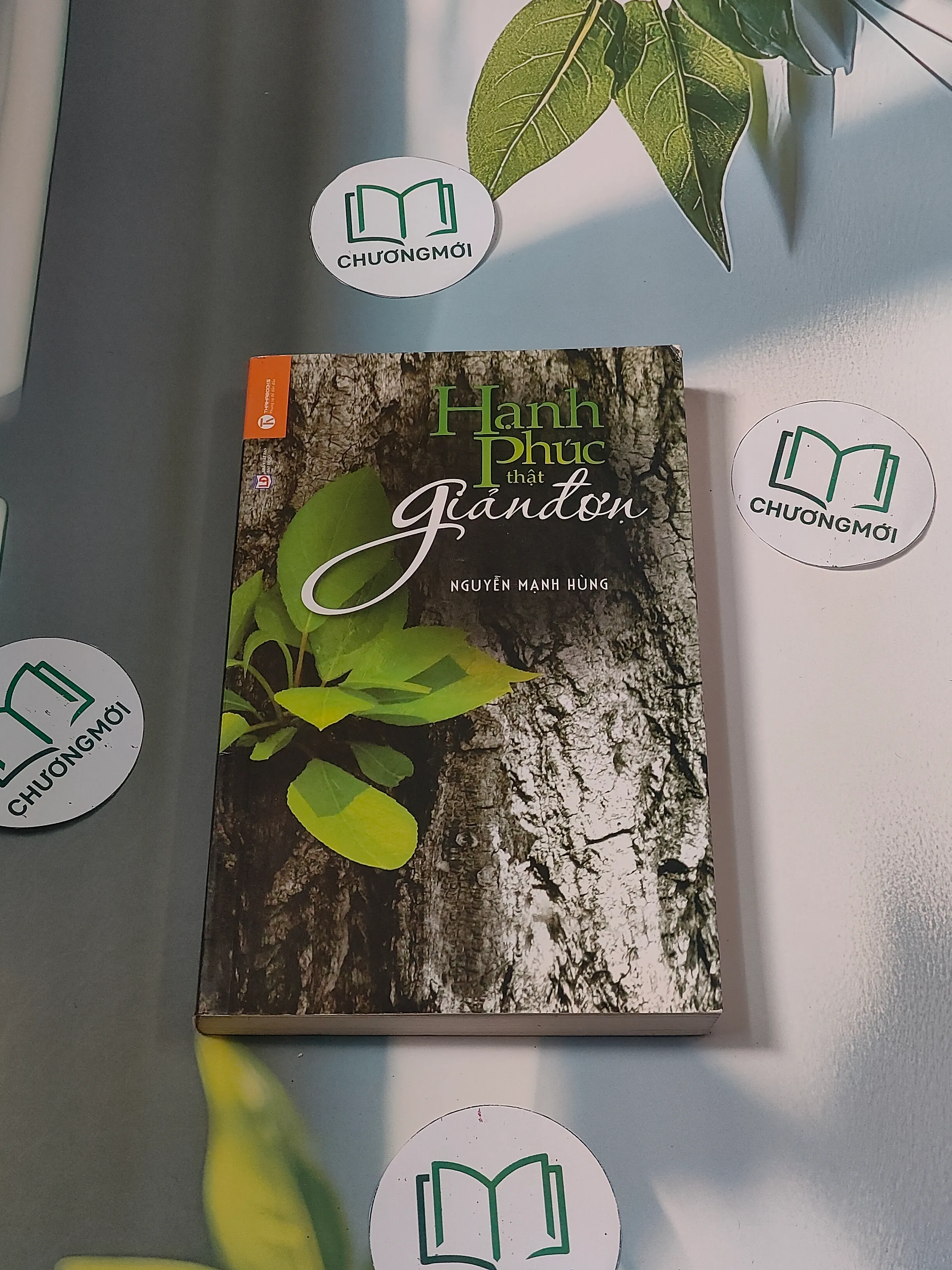 Hạnh phúc thật giản đơn - Nguyễn Mạnh Hùng