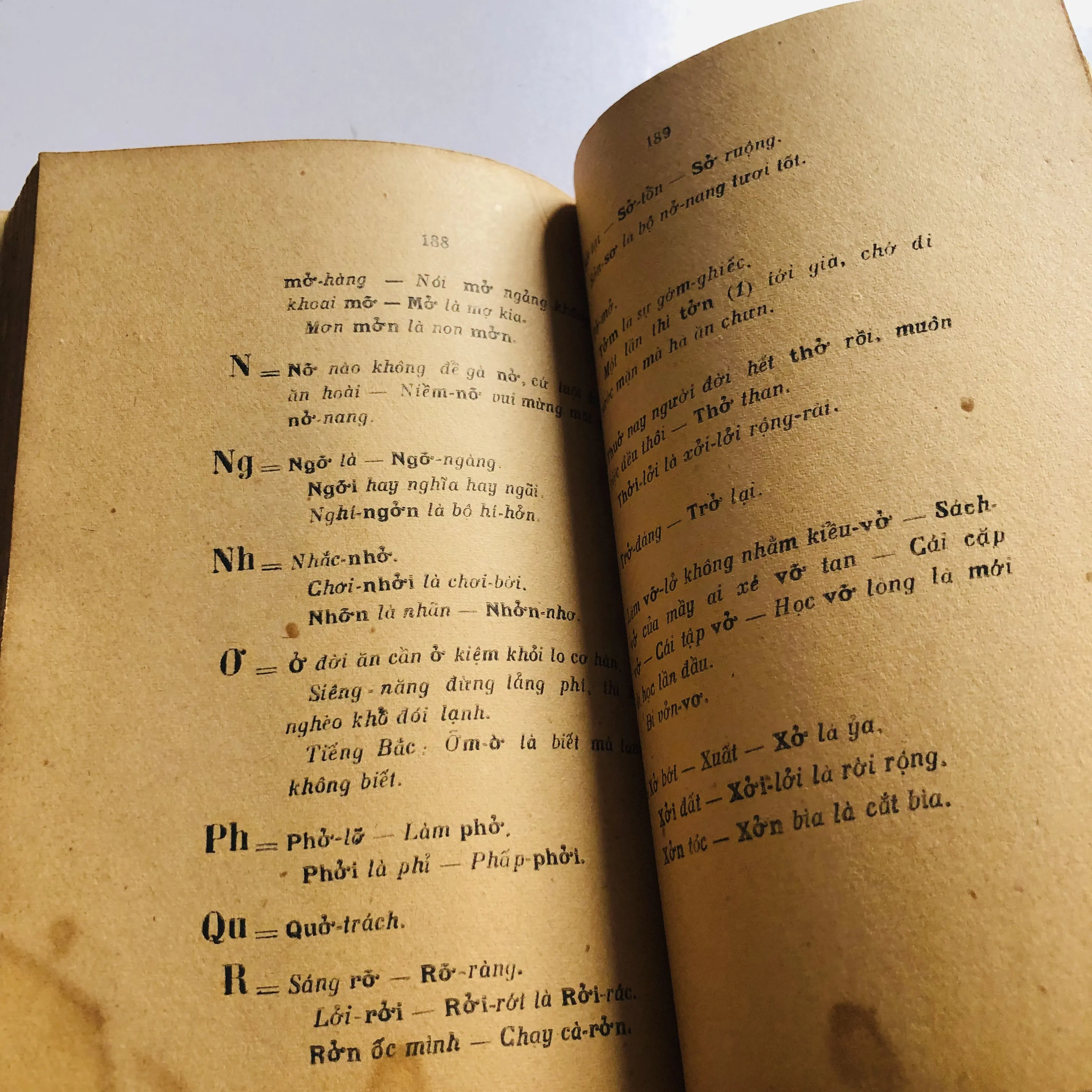 TRÙNG ÂM DỊ TỰ – Phạm Hữu Điển 1949 752808