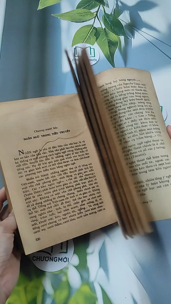[MIỄN PHÍ BỌC SÁCH] [XƯA] Tiểu Thuyết Việt Nam Hiện Đại 2 (1978) - Phan Cự Đệ 776017