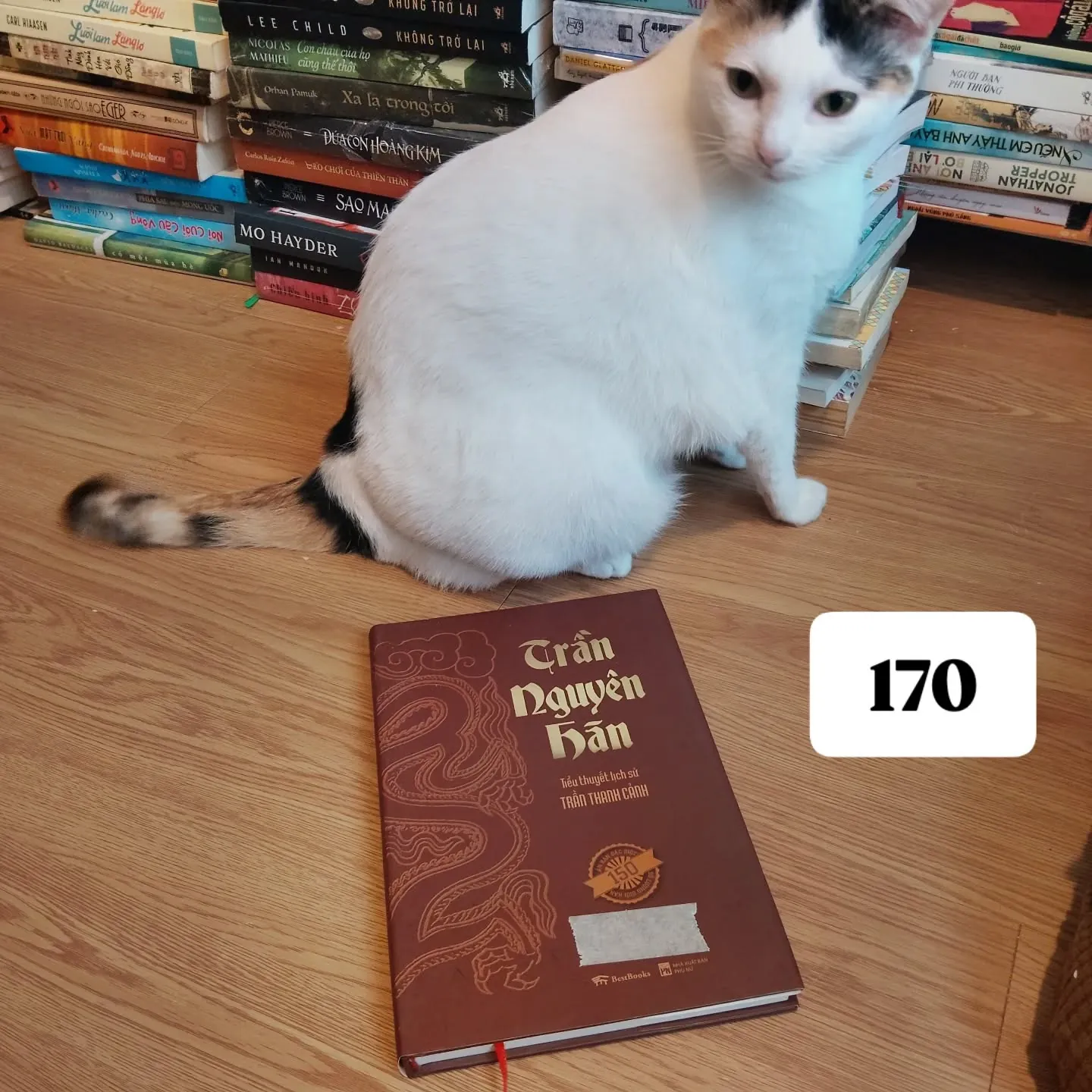 BÌA CỨNG -  Trần Nguyên Hãn (Tiểu thuyết lịch sử Trần Thanh Cảnh) - Bản đặc biệt