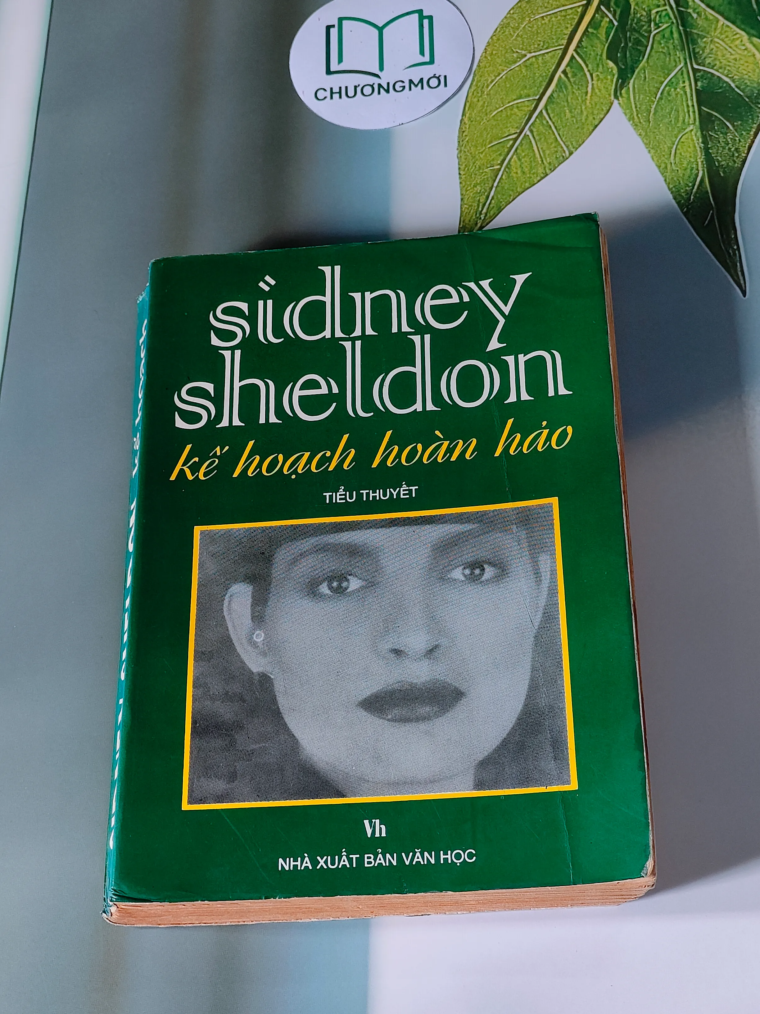 Kế Hoạch Hoàn Hảo (1999) - Sidney Sheldon
