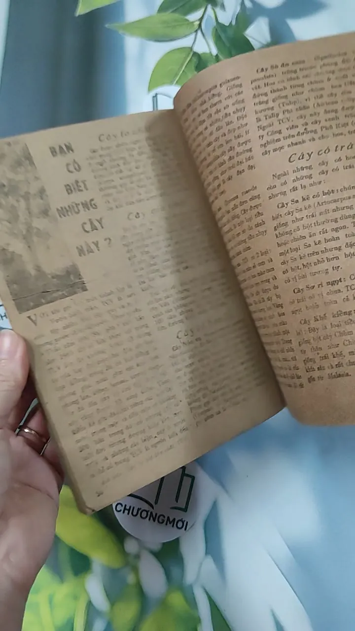 Tạp Chí Khoa Học Phổ Thông: Thảo Cầm Viên TP. Hồ Chí Minh 775989