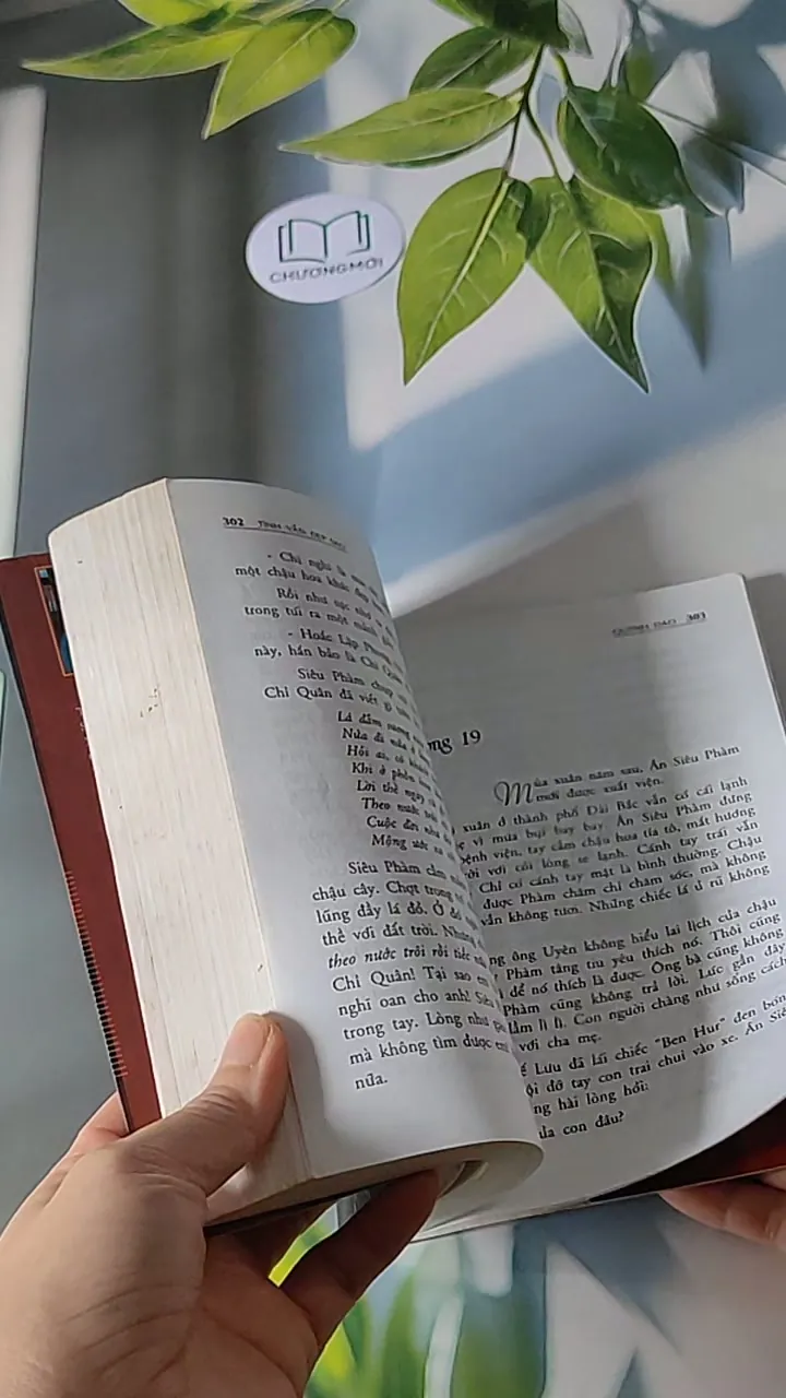 Tình vẫn đẹp sao - Quỳnh Dao 607697