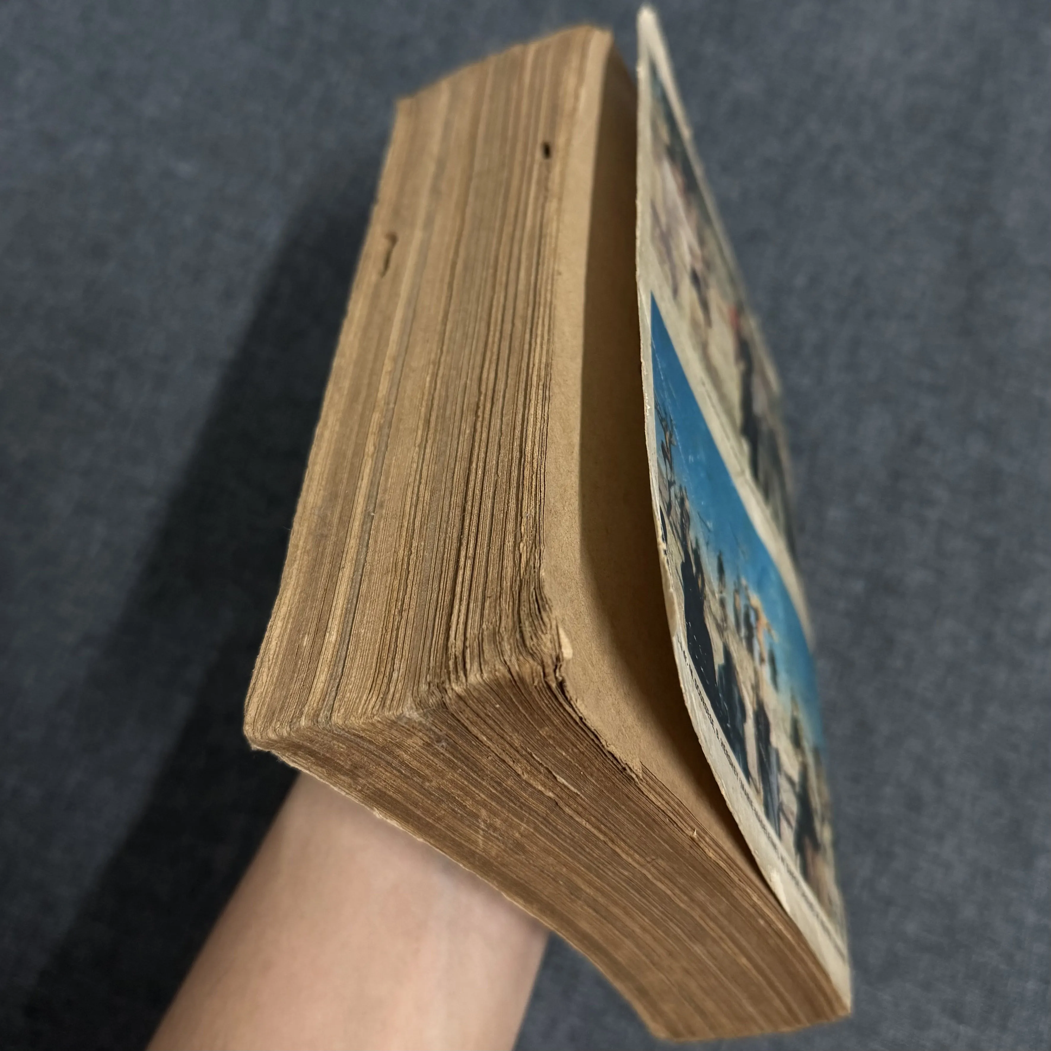 Cám dỗ cuối cùng của Chúa - Nikos Kazantzakis 1009711