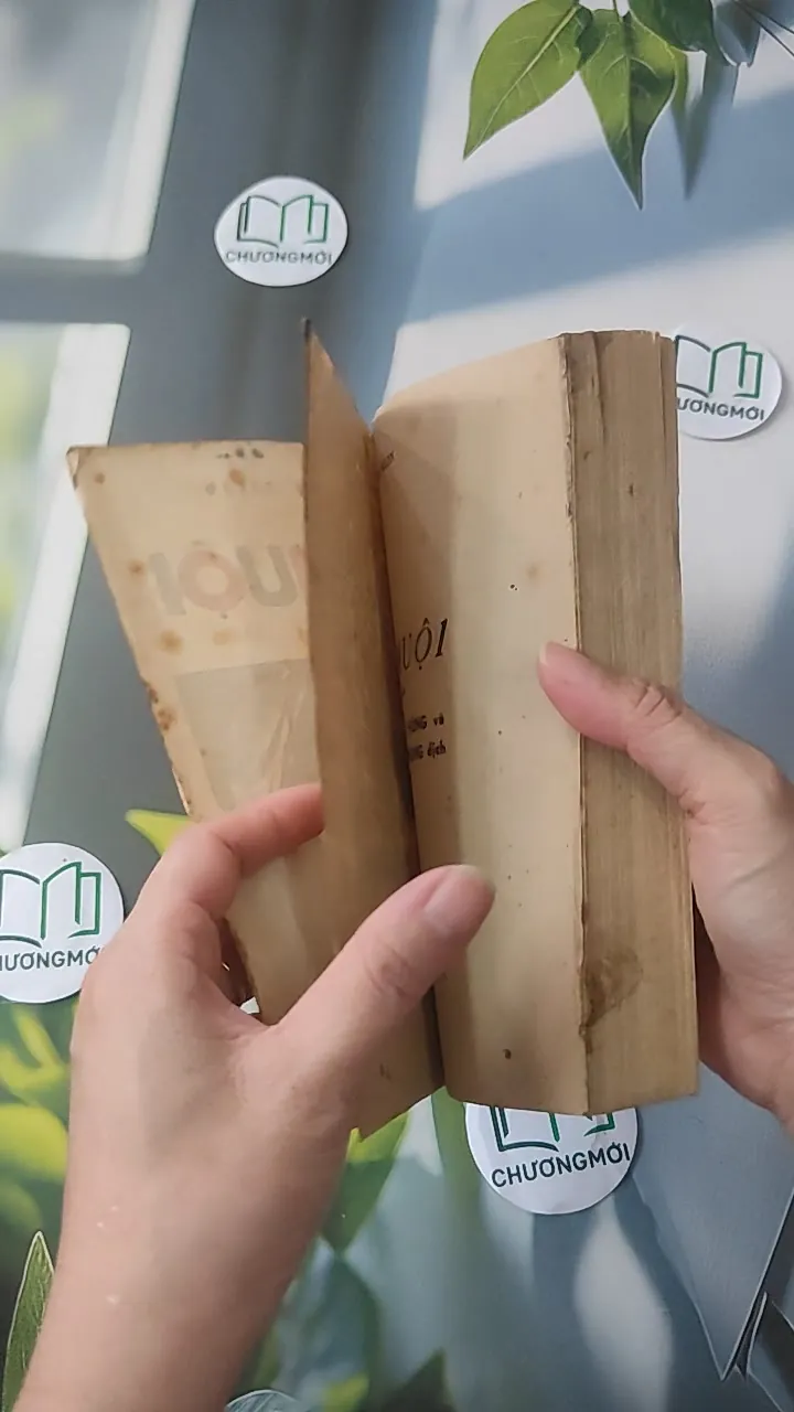 [XƯA] Mê Muội (1987) - Paven Nilin 997734