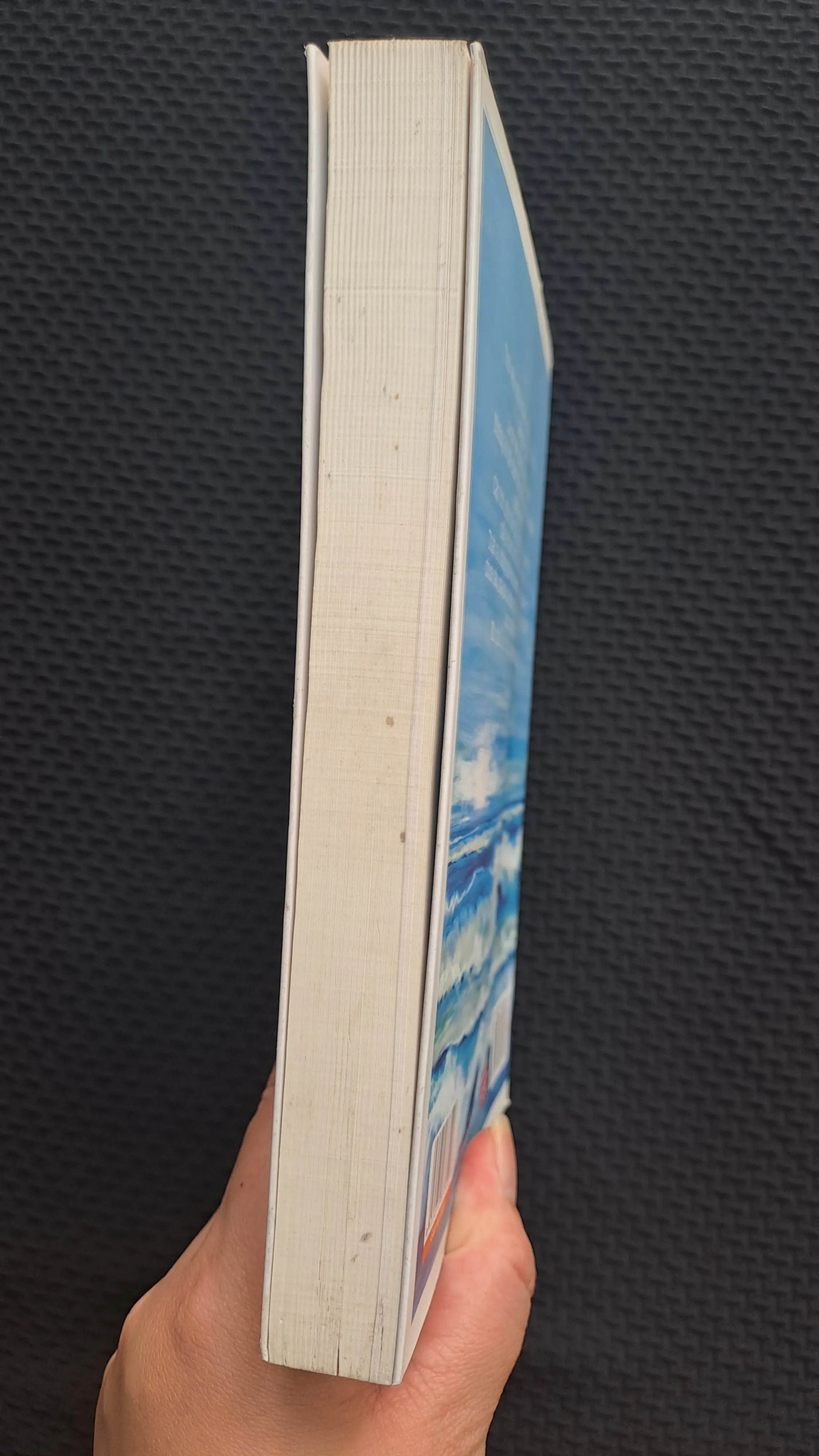 Chân trời góc bể - Diệp Lạc Vô Tâm 993355