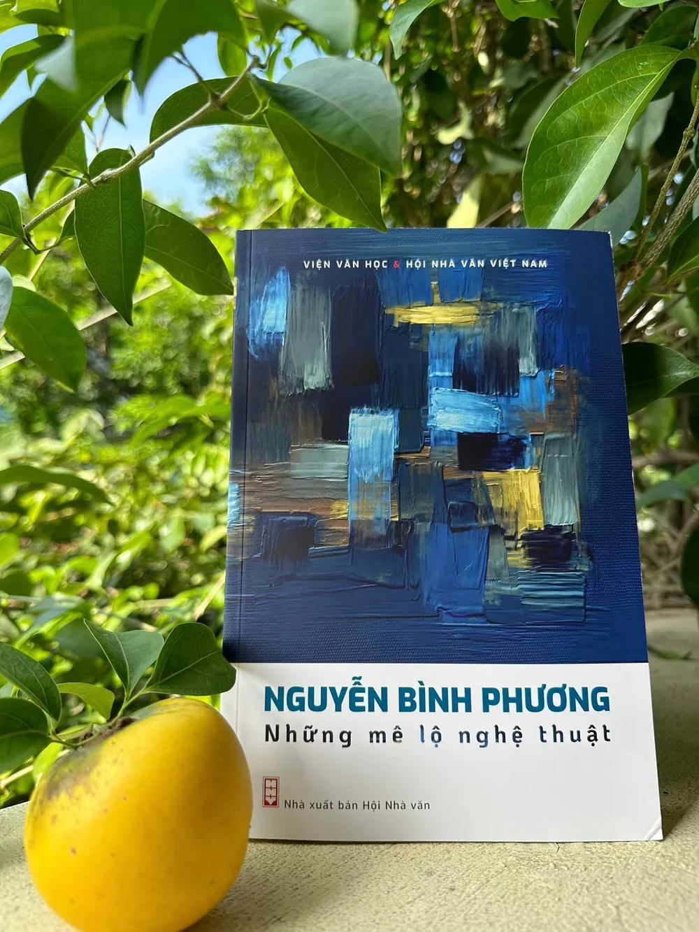 Nguyễn Bình Phương - Những Mê Lộ Nghệ Thuật - Viện Văn Học