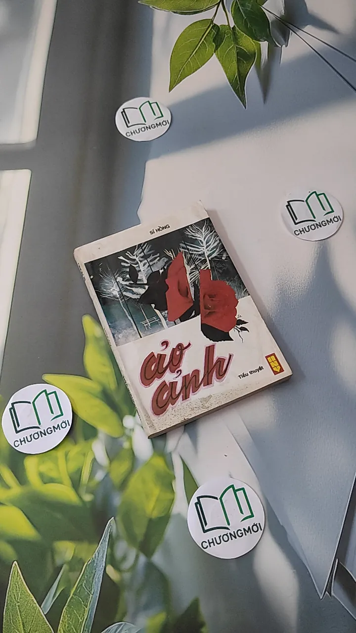 [XƯA] [HIẾM] Ảo Ảnh (1992) - Sĩ Hồng