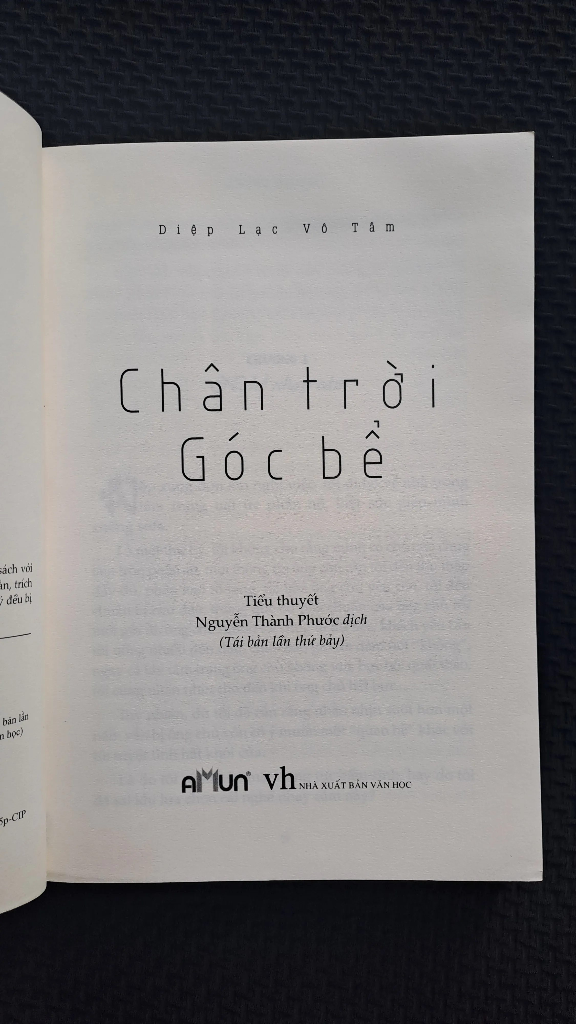 Chân trời góc bể - Diệp Lạc Vô Tâm 993355
