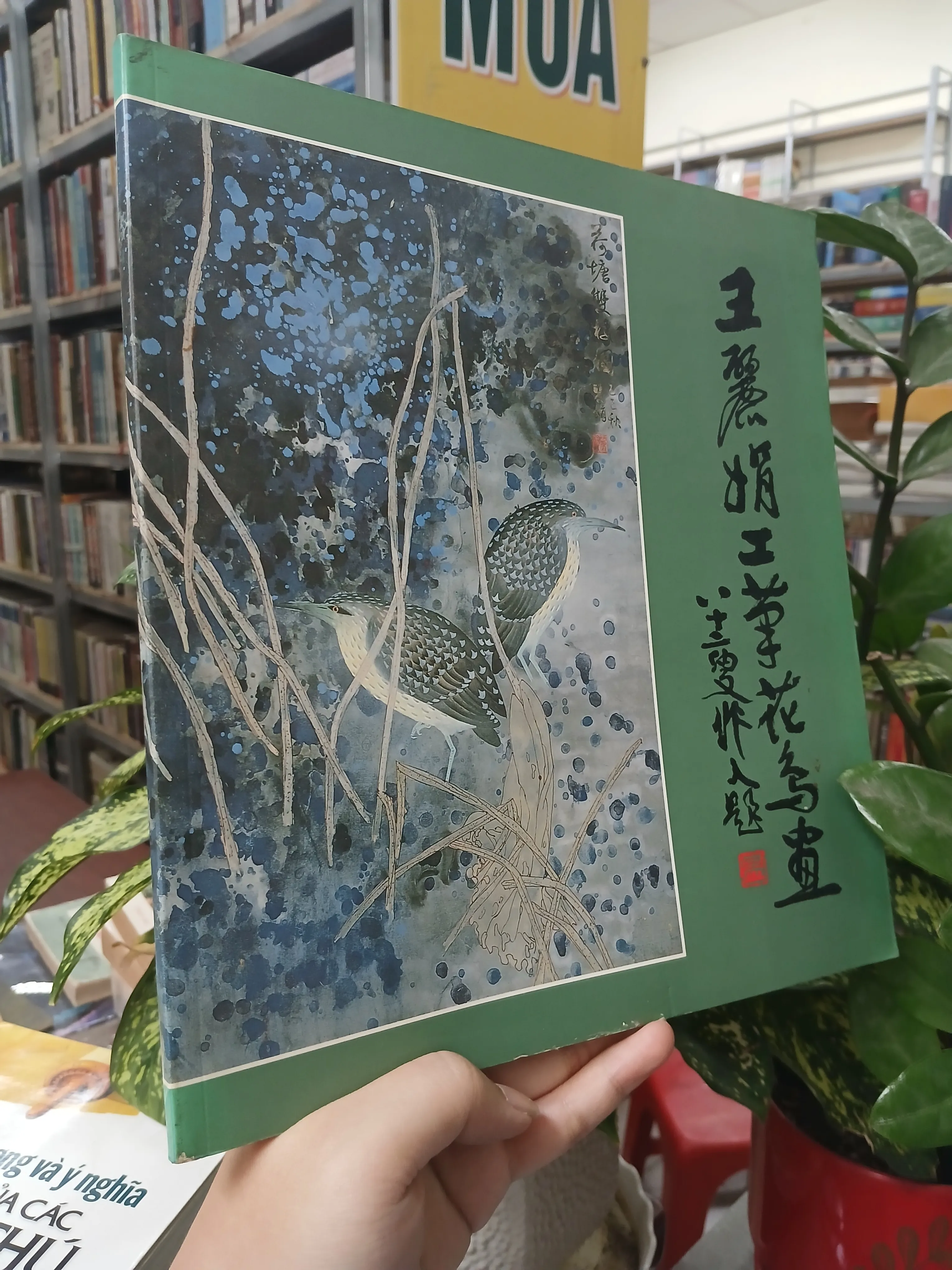 TUYỂN TẬP TRANH CỦA WANG LIJUAN