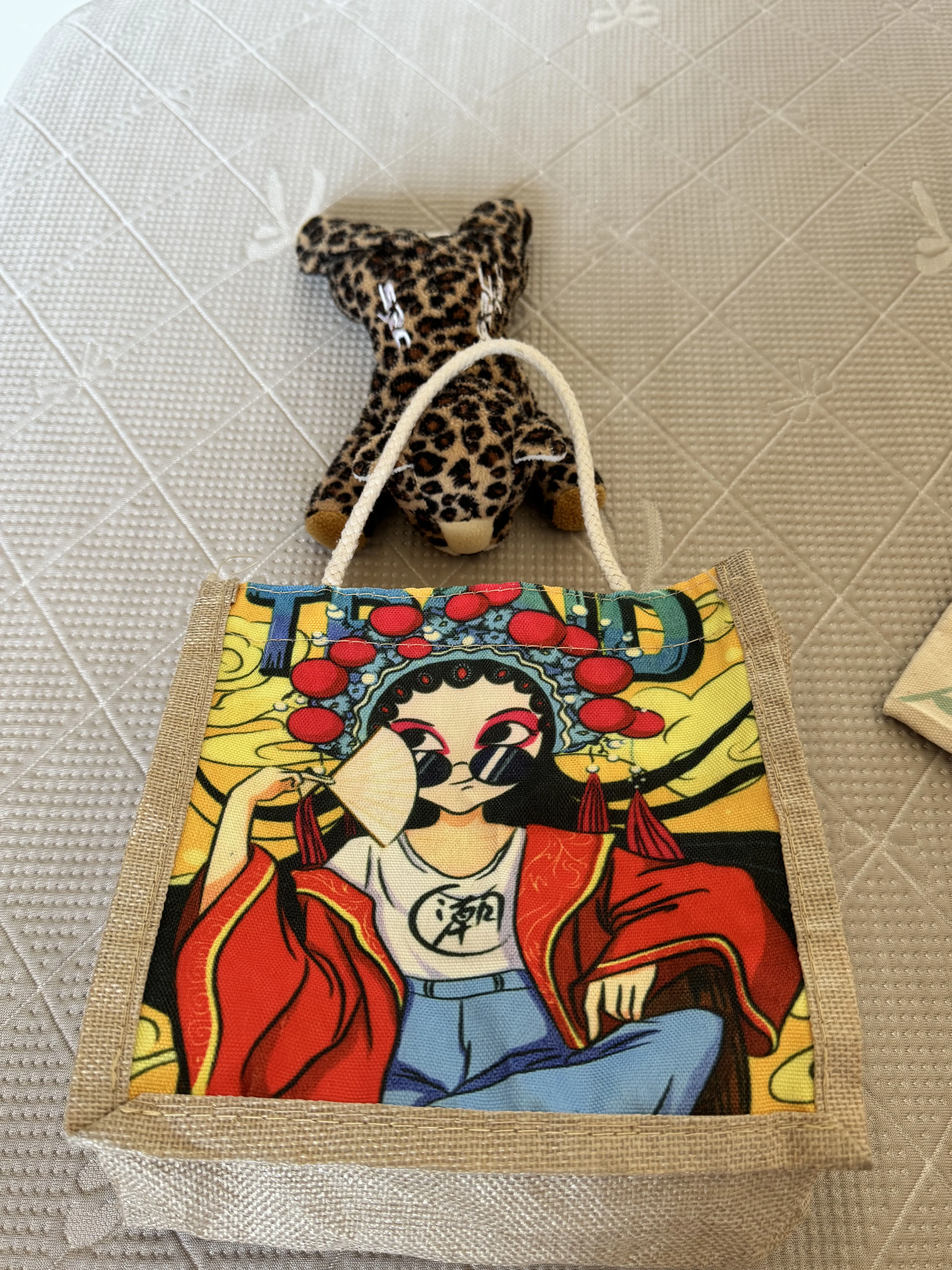 Túi canvas, túi nhựa 1006037