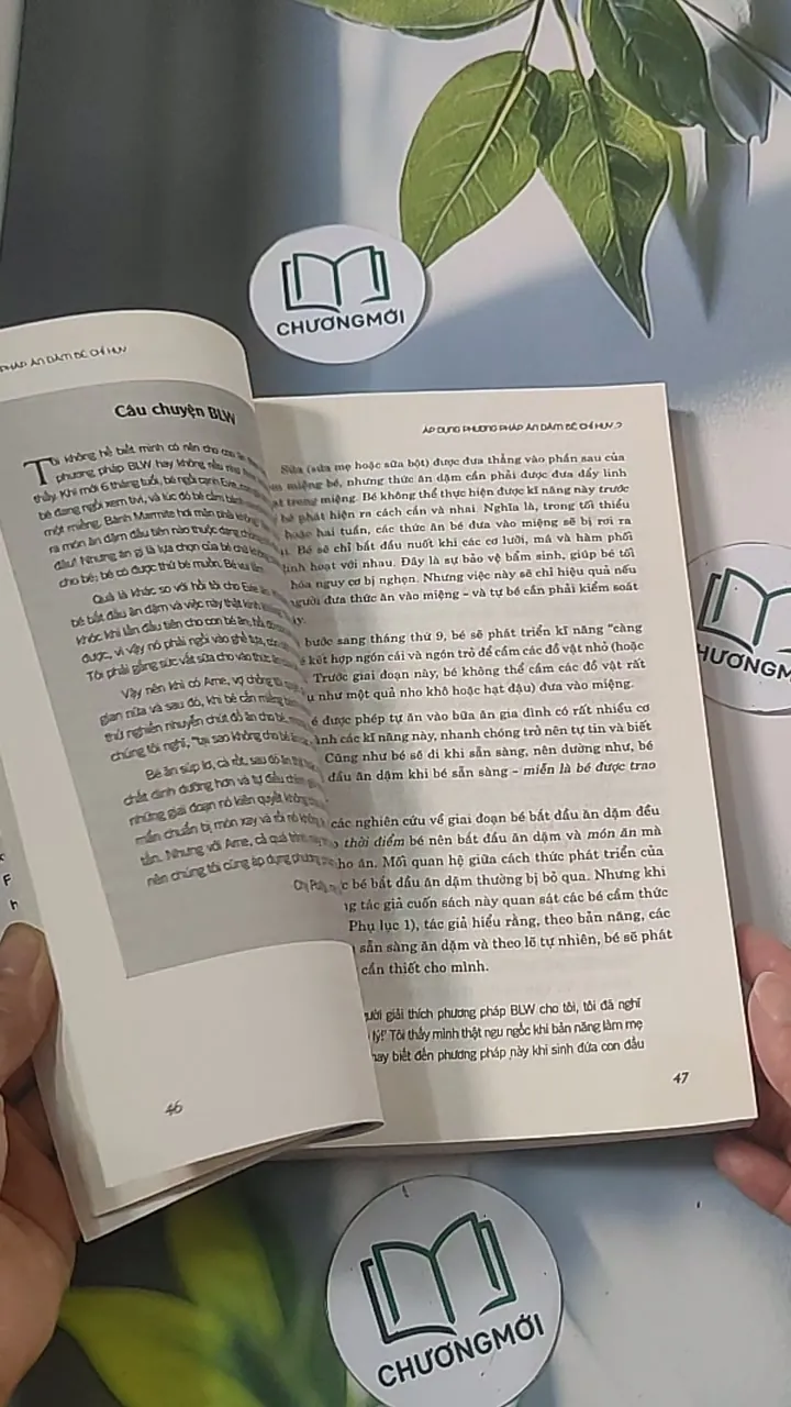 Phương pháp ăn dặm bé chỉ huy 688485