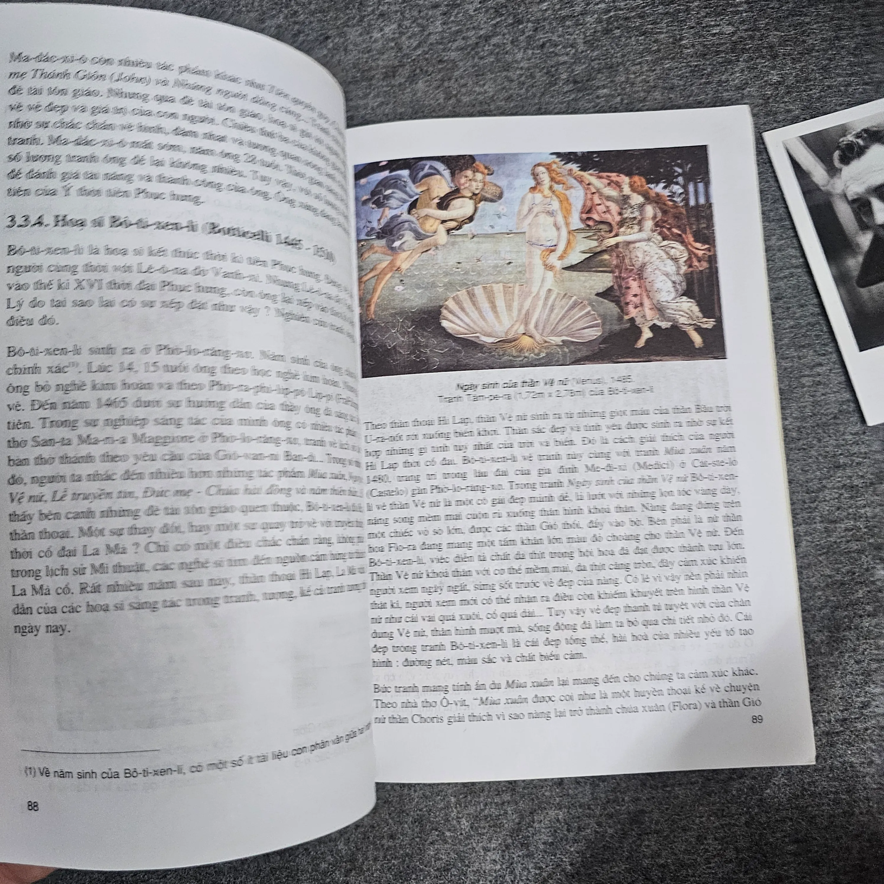 Lịch sử mỹ thuật thế giới 1001220