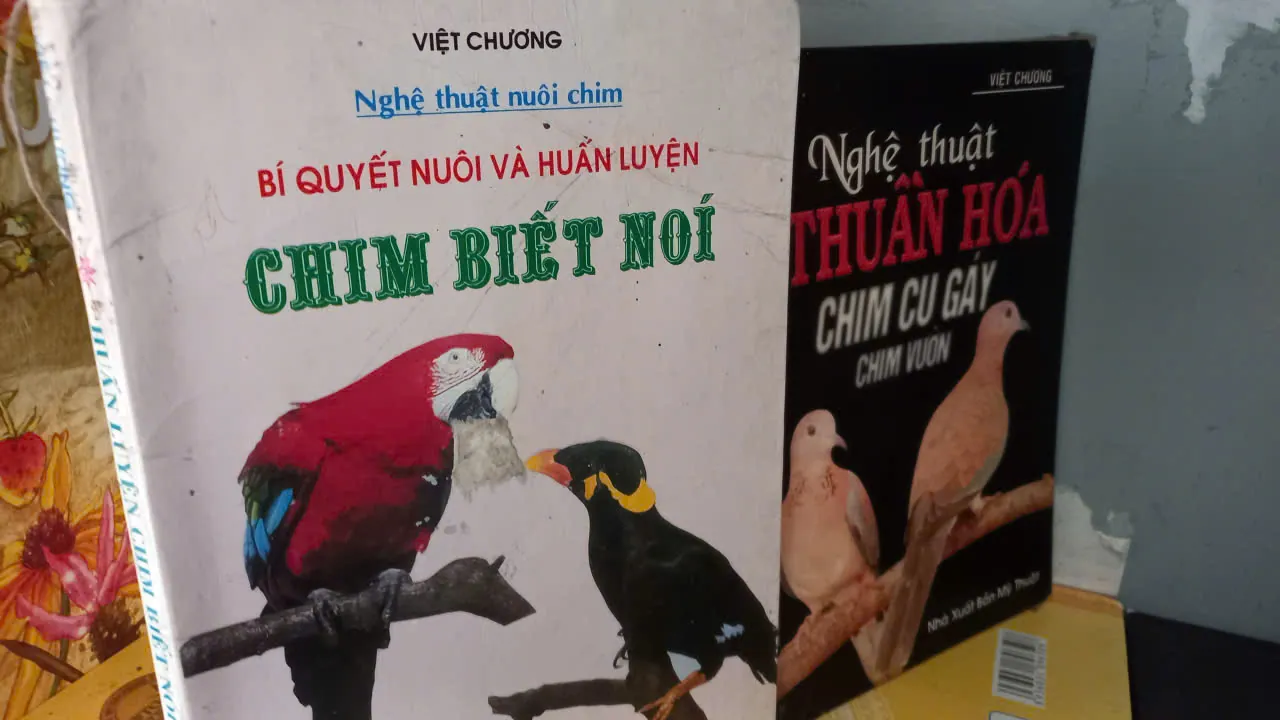 sách nuôi chim