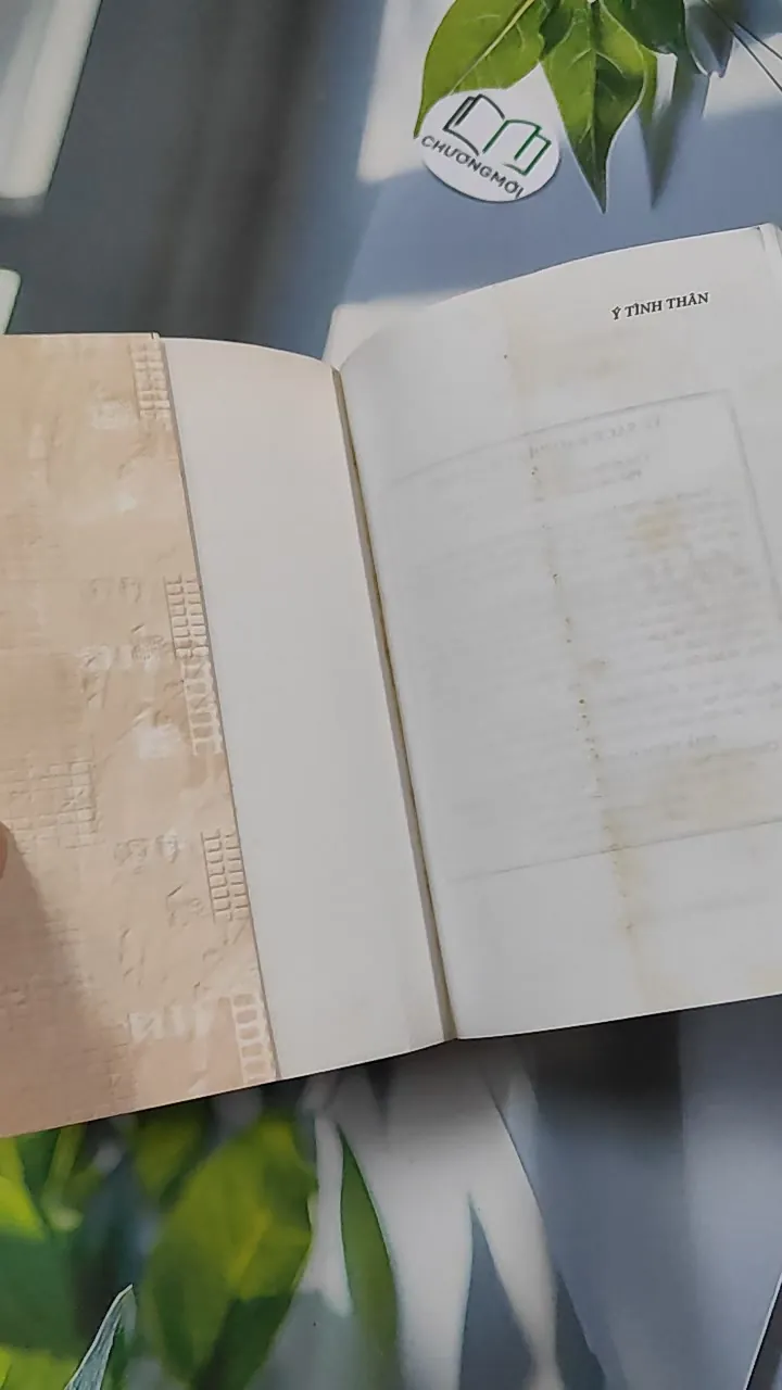 Ý Tình Thân - Thích Trí Siêu 776124