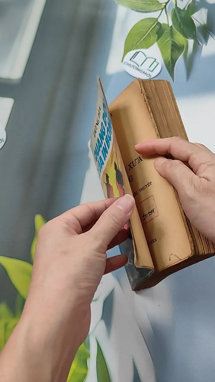 [XƯA] Quãng Đời Xưa In Bóng (1990) - Dũng Hà 776083