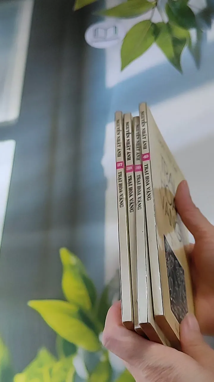 Trọn bộ Trại hoa vàng (4 tập) 607740