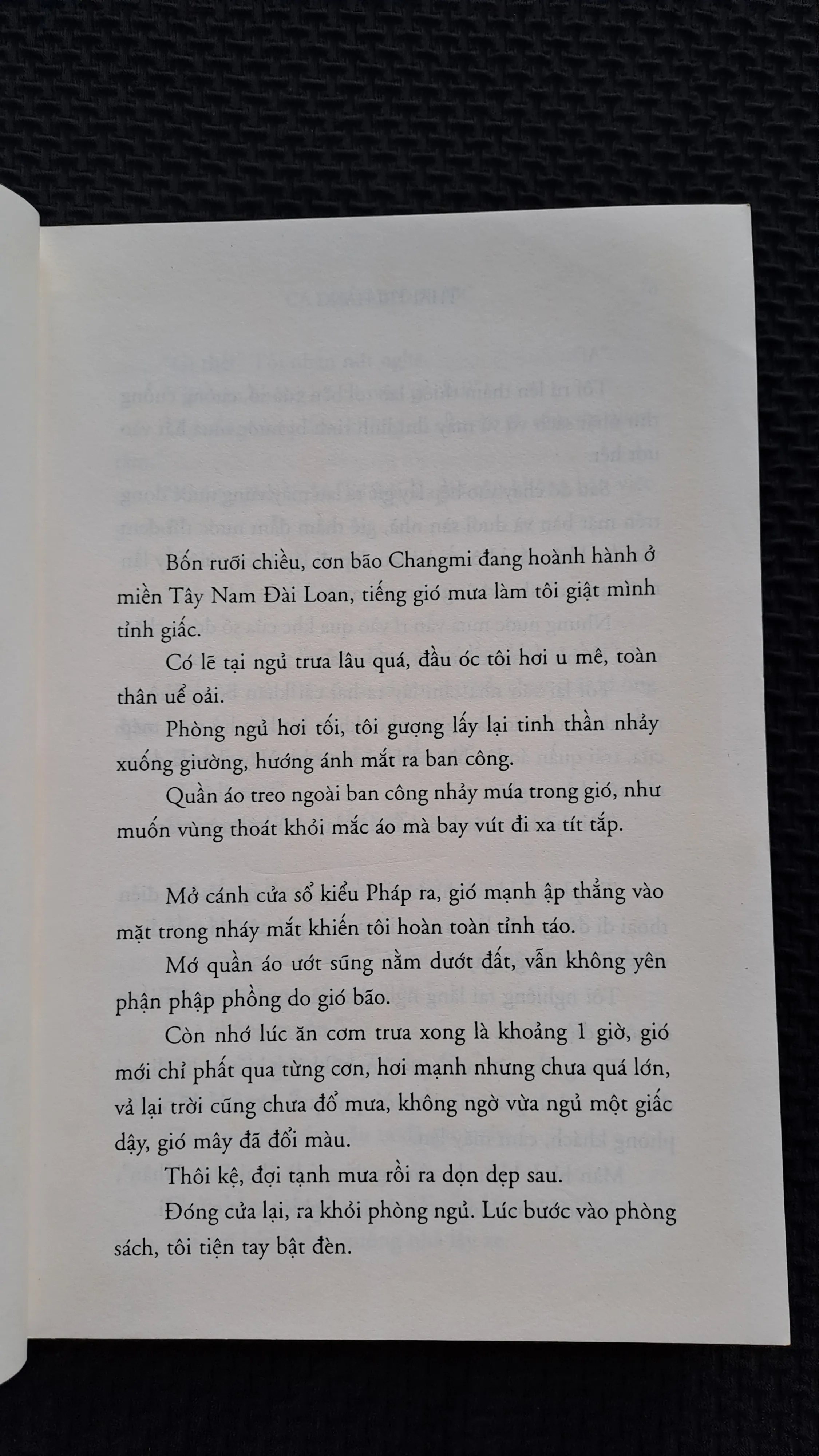 Cá voi và hồ nước - Thái Trí Hằng 973211