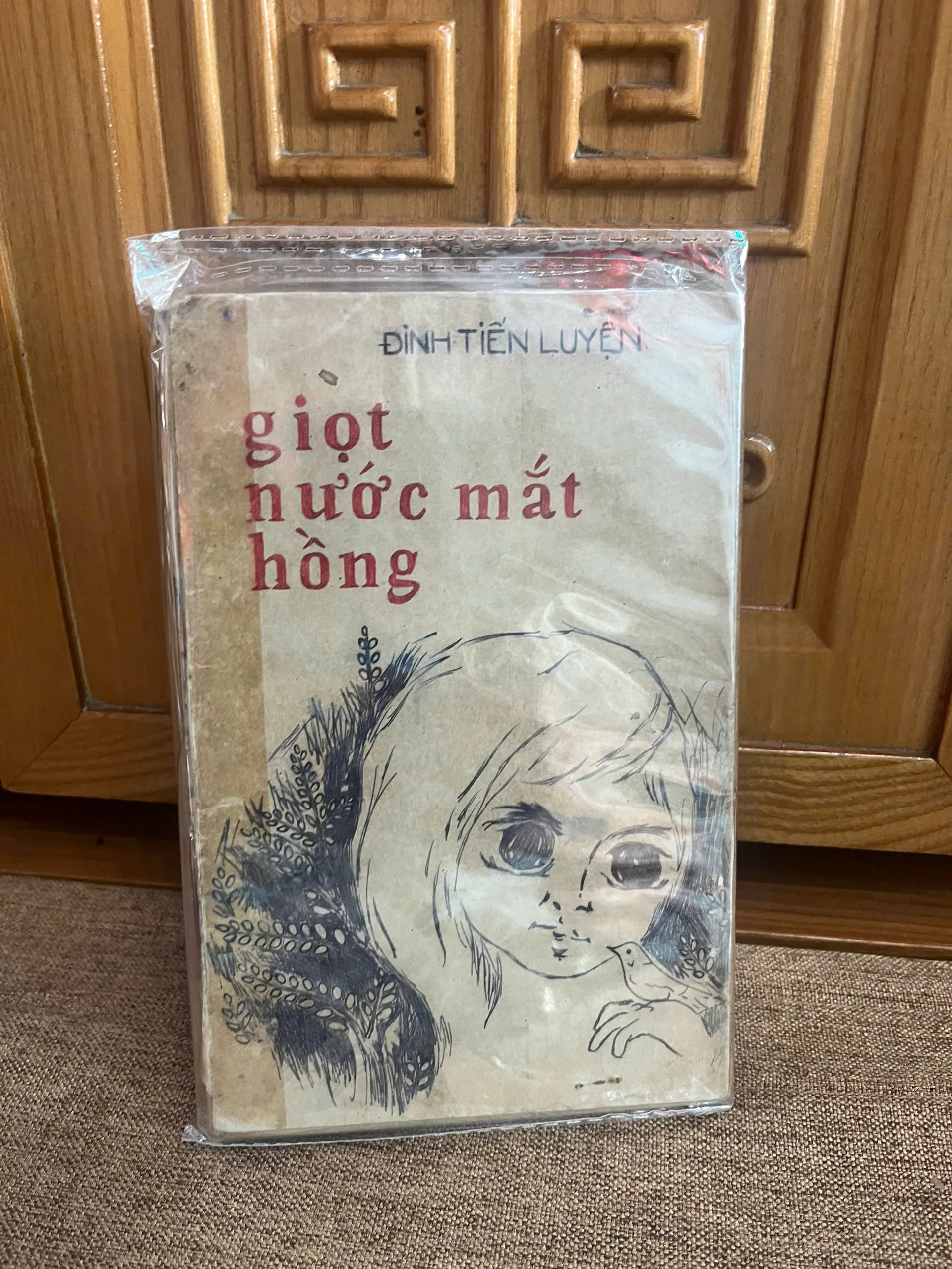 Giọt Nước Mắt Hồng – Đinh Tiến Luyện