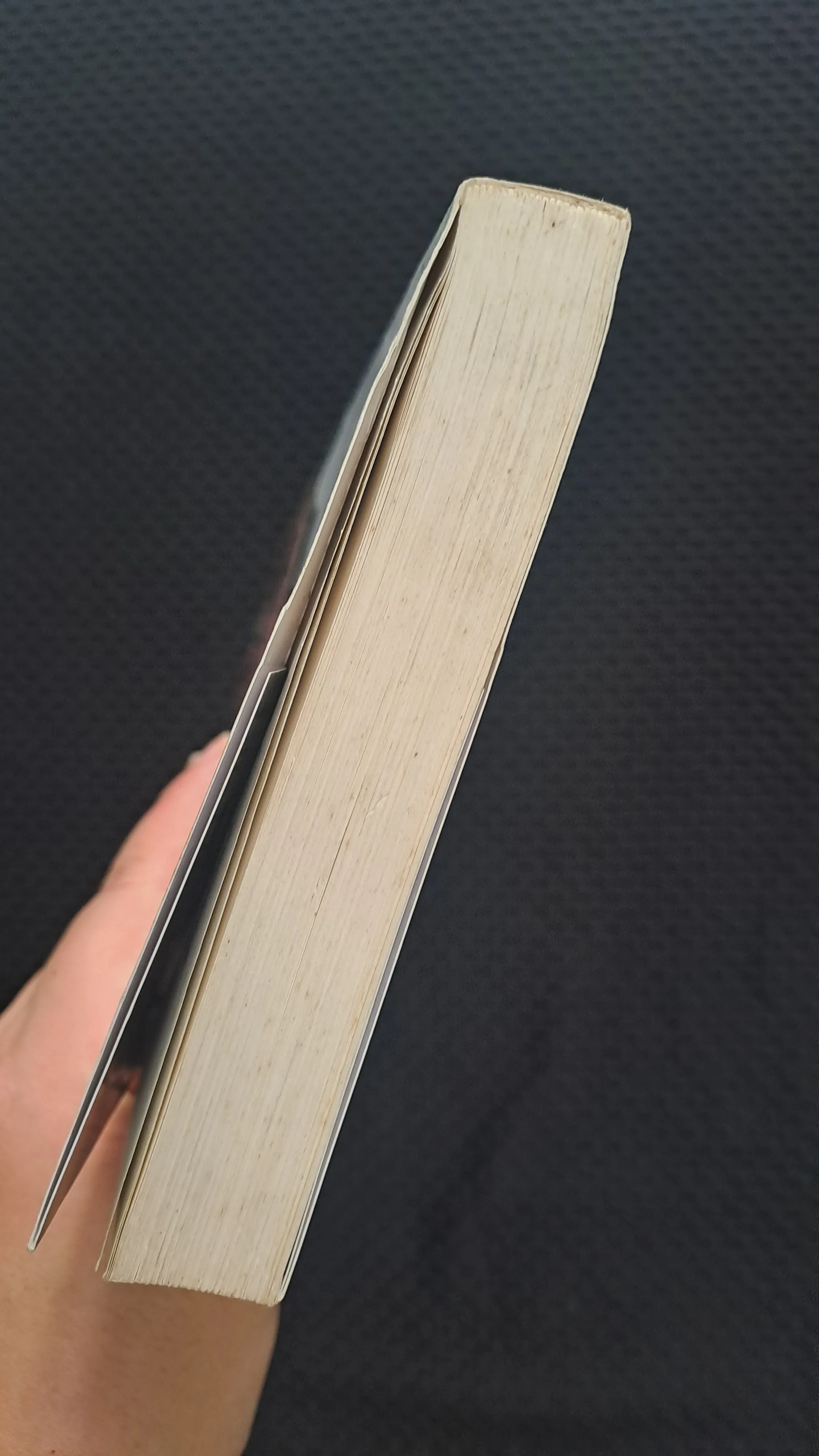 Vào trong hoang dã - Jon Krakaer 1001260